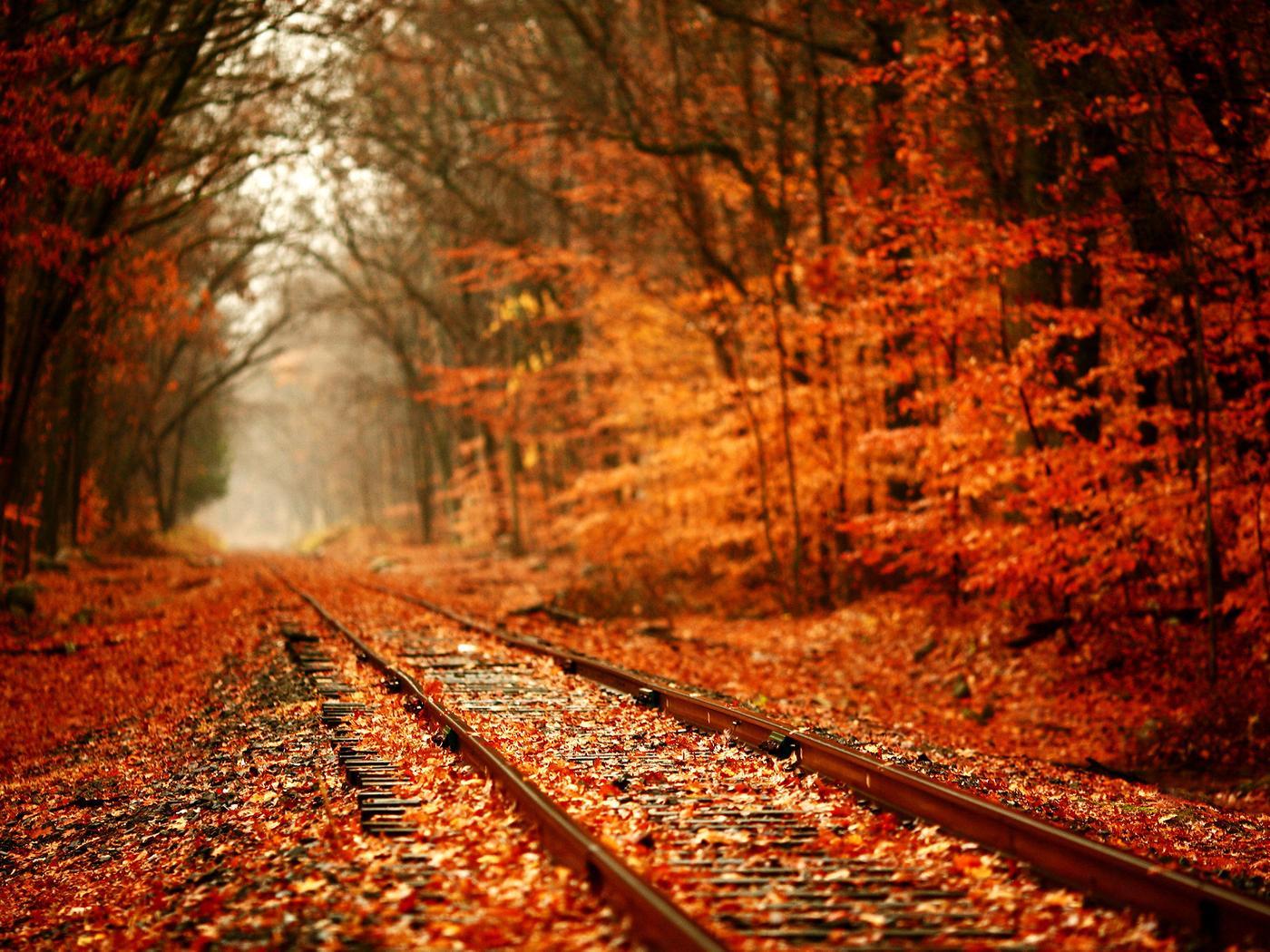 1400x1050 Train tracks covered with autumn leaves