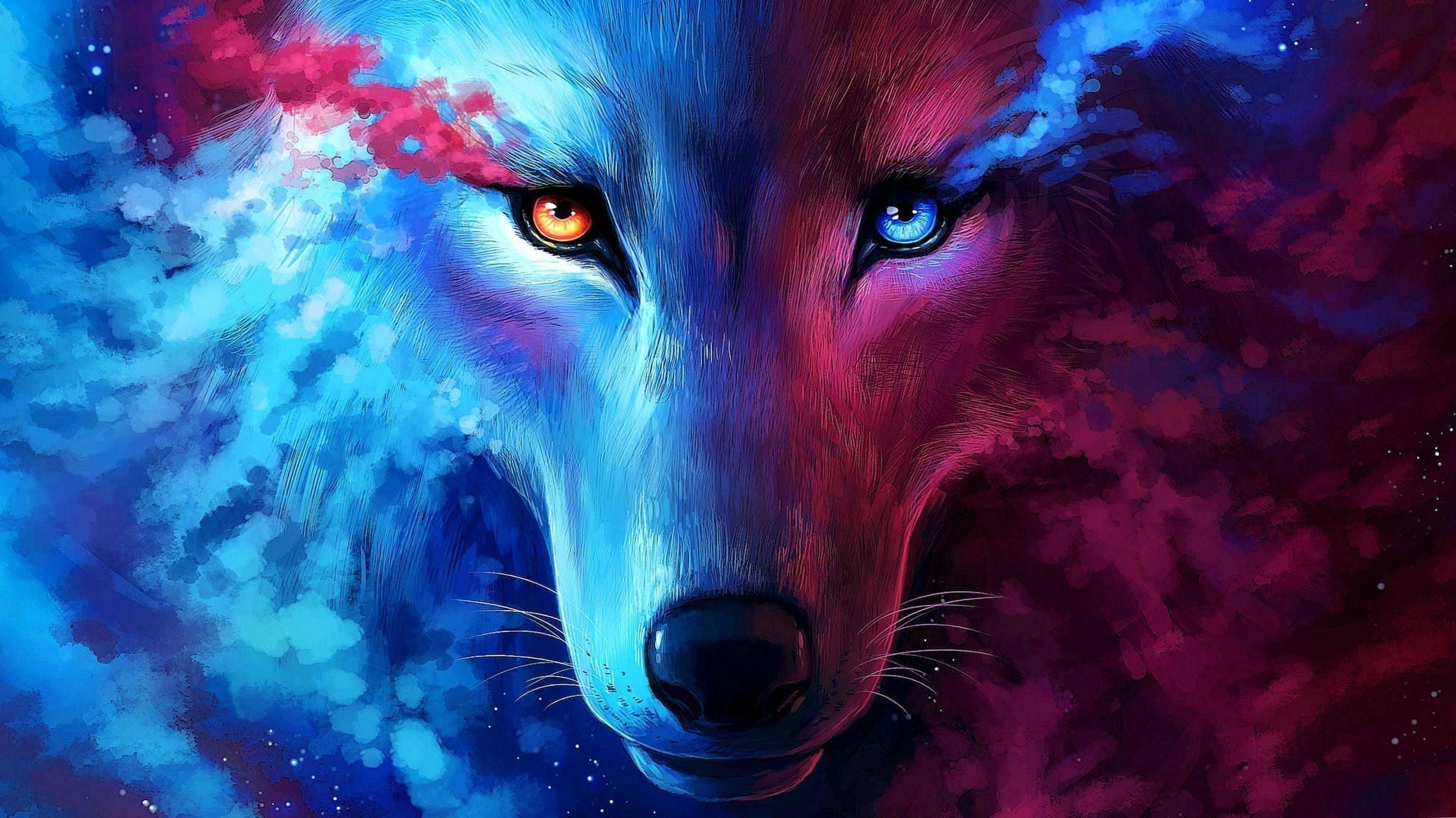 2605x1464 galaxy live wallpaper hd, wolf, blue, canidae, red wolf, wildlife