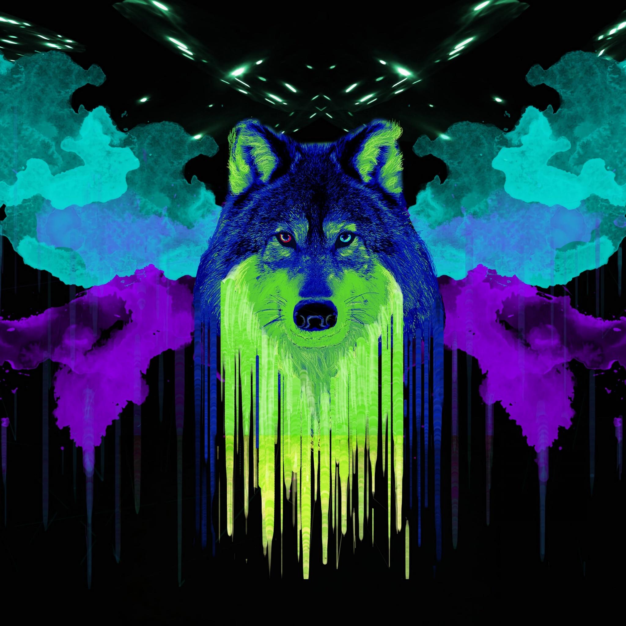2048x2048 Wolf Wallpaper 4K, Artwork, Neon, Black background, Watercolors, Graphics CGI