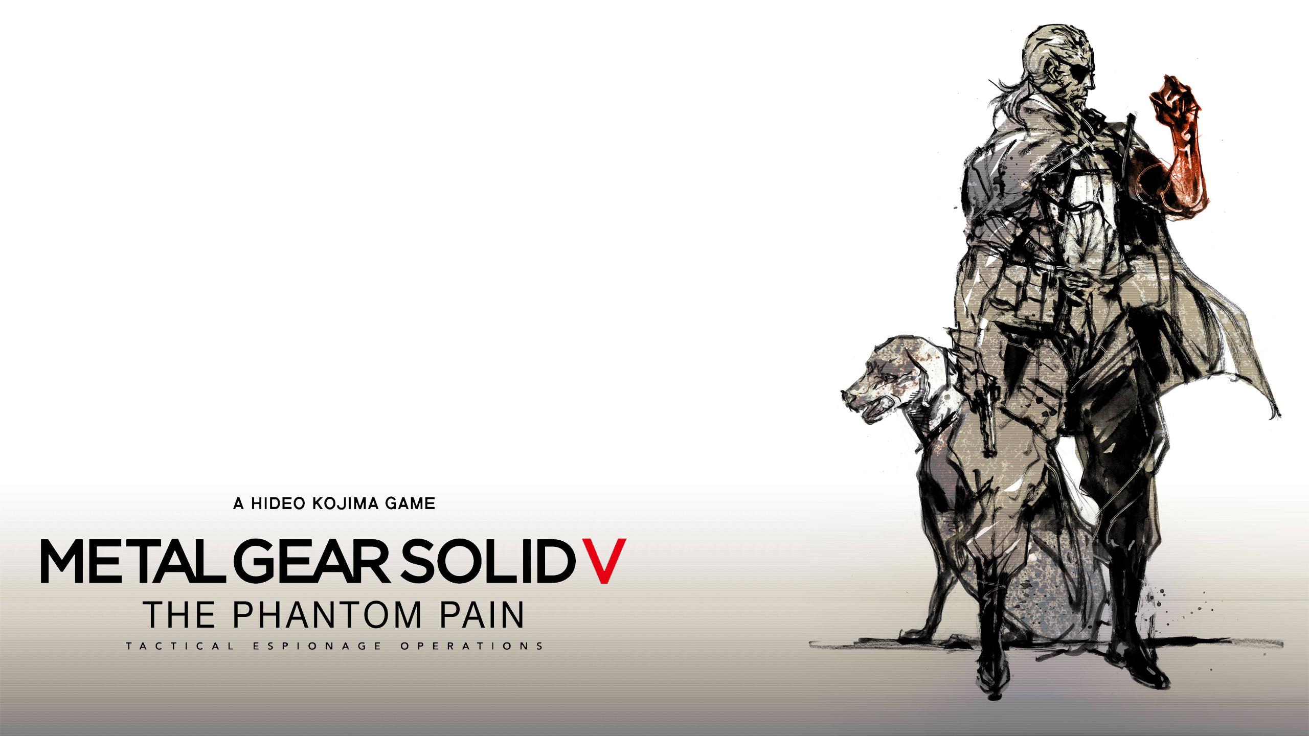 2560x1440 Metal Gear Solid HD Wallpaper