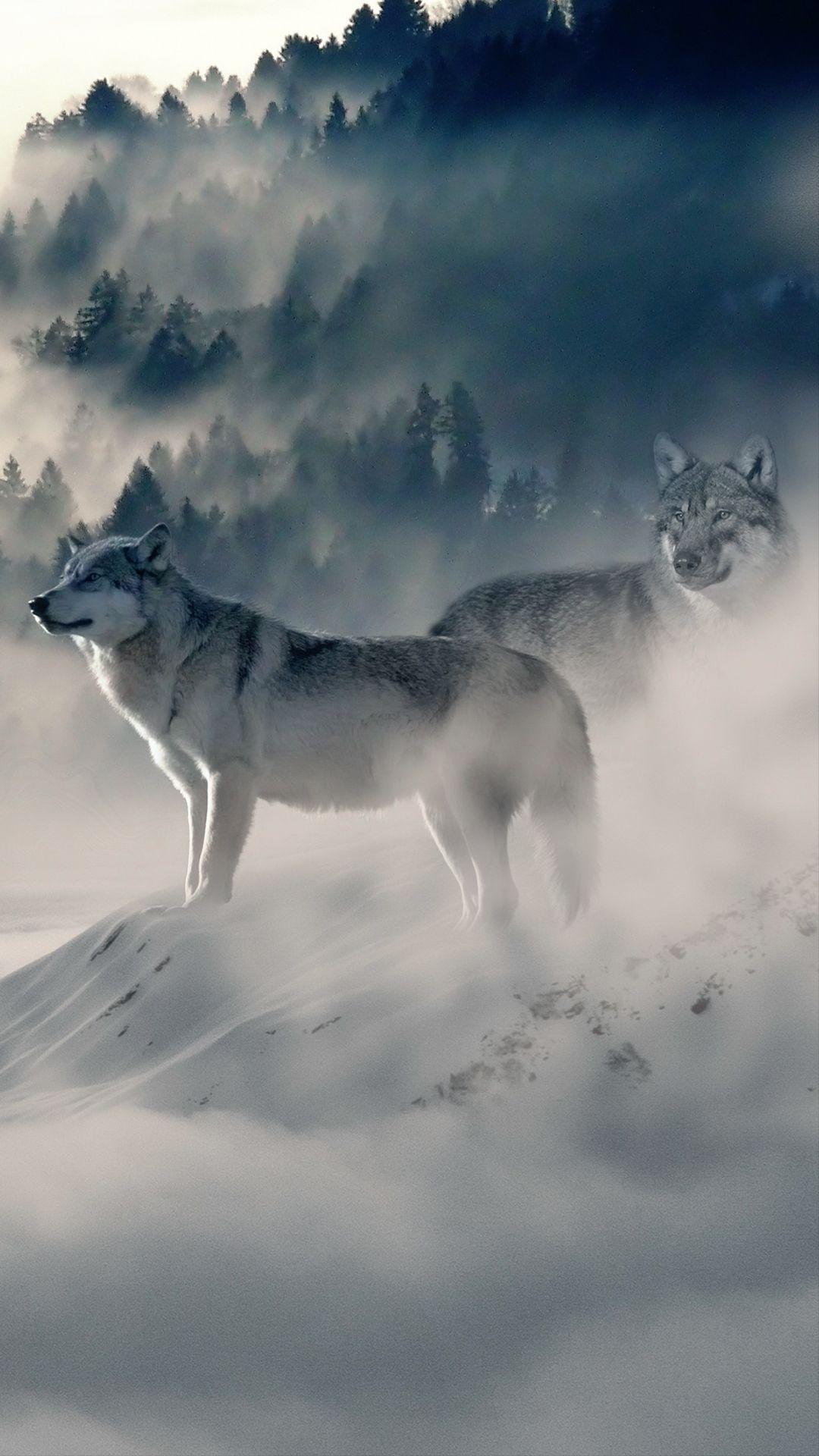 1080x1920 Wolf Pack HD Wallpaper For Your iPhone 6