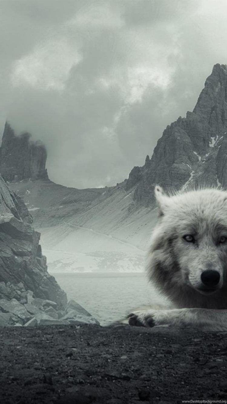 750x1334 Wolf iPhone wallpaper for iPhone 6 750x1334 wolf Desktop