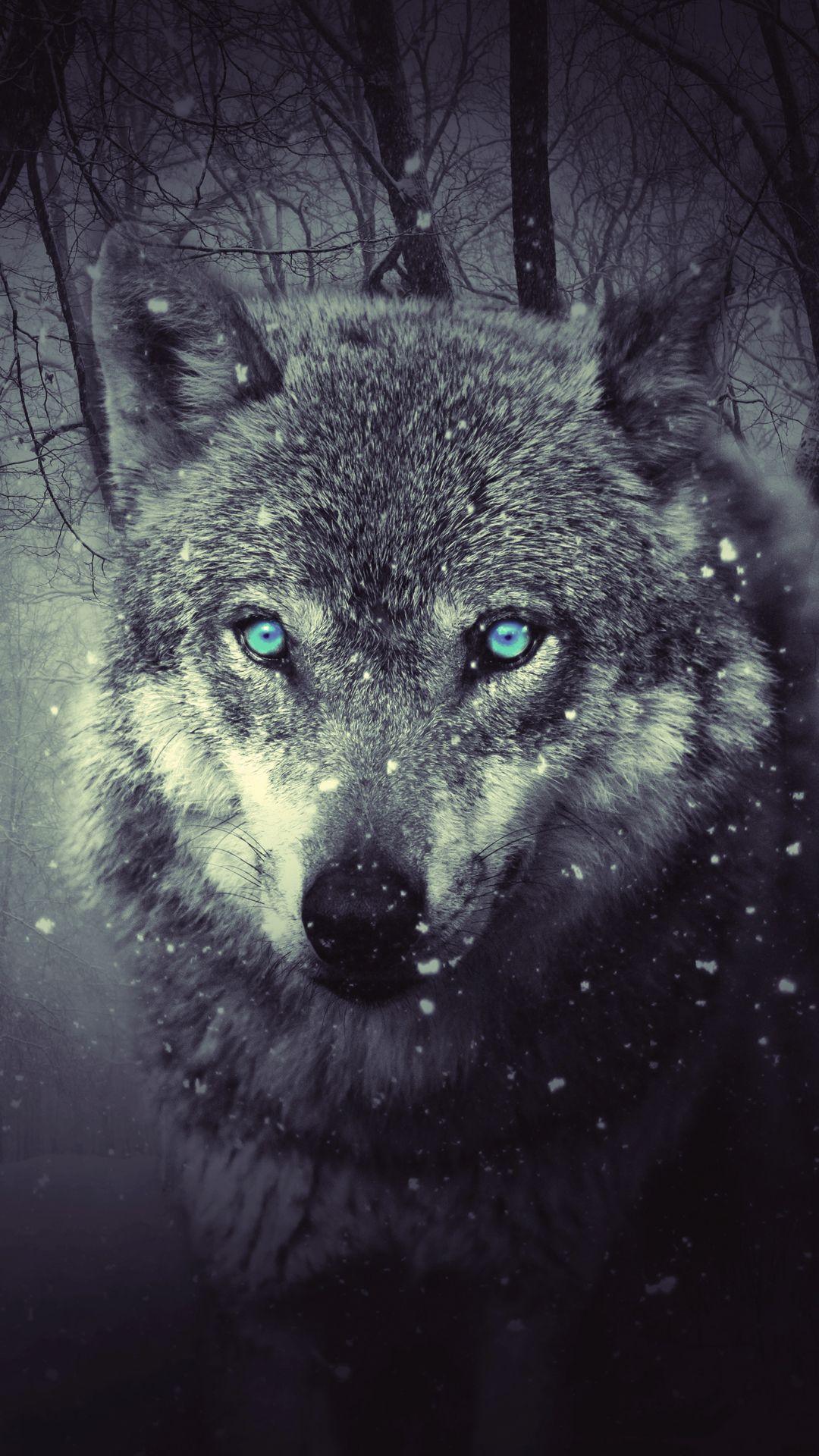 1080x1920 Delightful Design Wolf Wallpaper iPhone For X 8 7 6 Free Download On