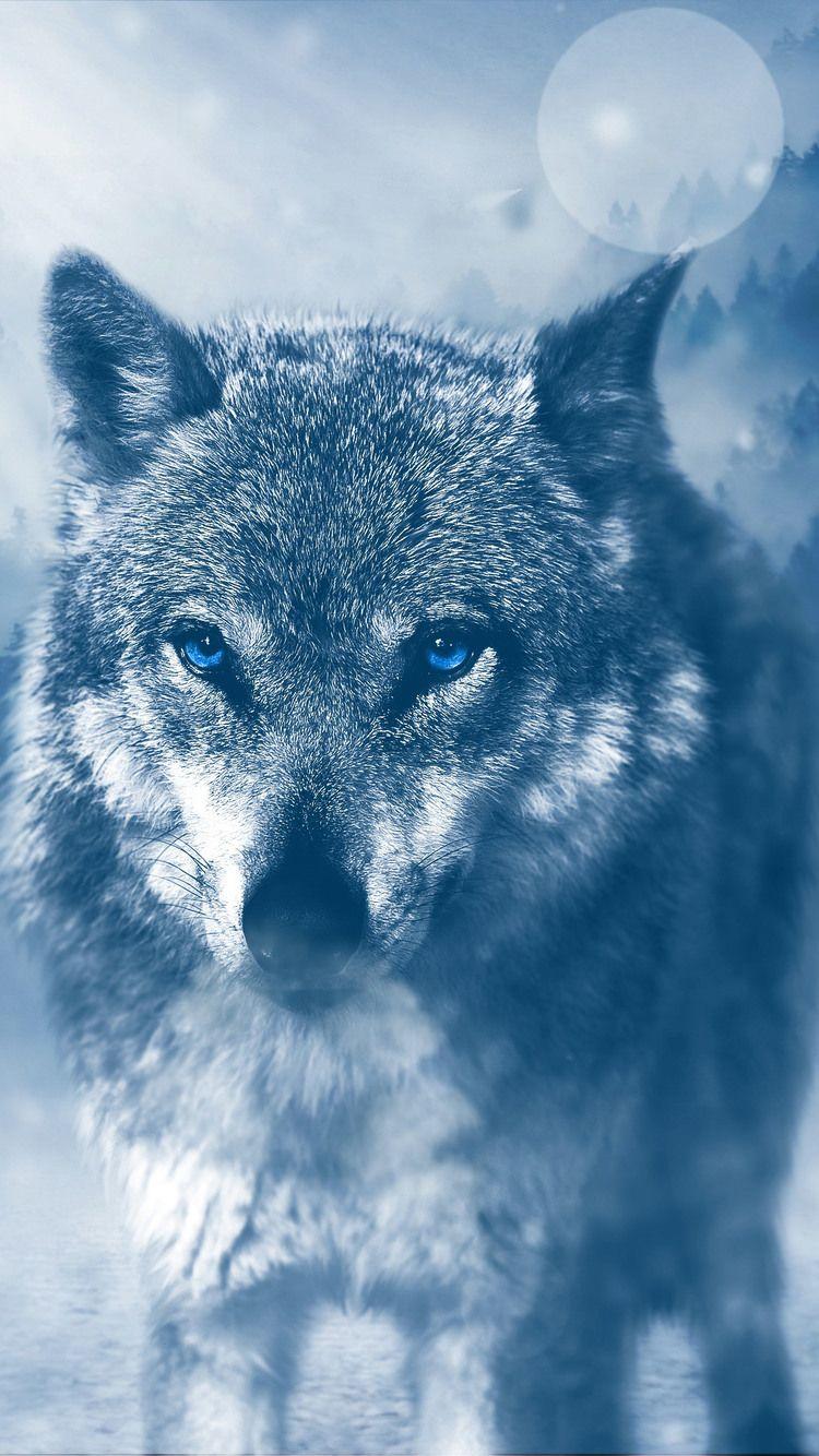 750x1334 Blue Eyed Wolf iPhone iPhone 6S, iPhone 7 HD 4k