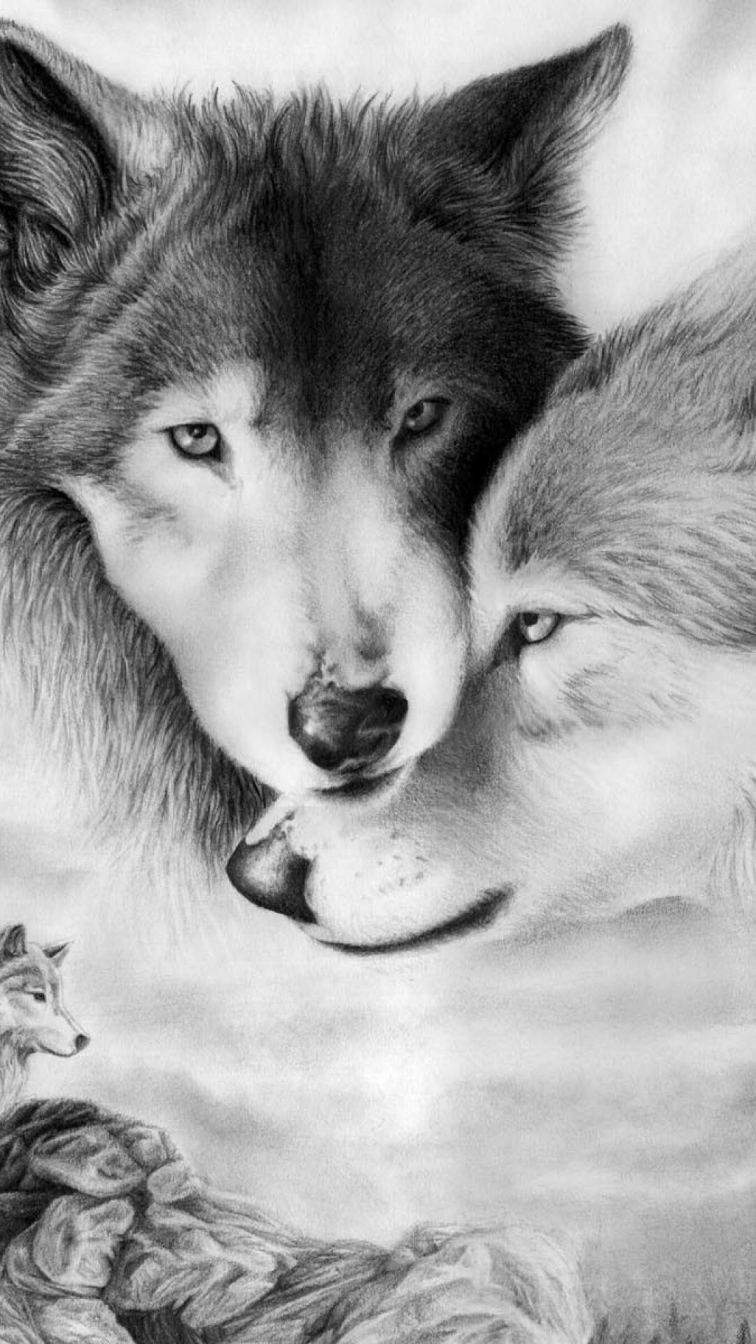 Drawing Animal Iphone Wallpapers Top Free Drawing Animal Iphone