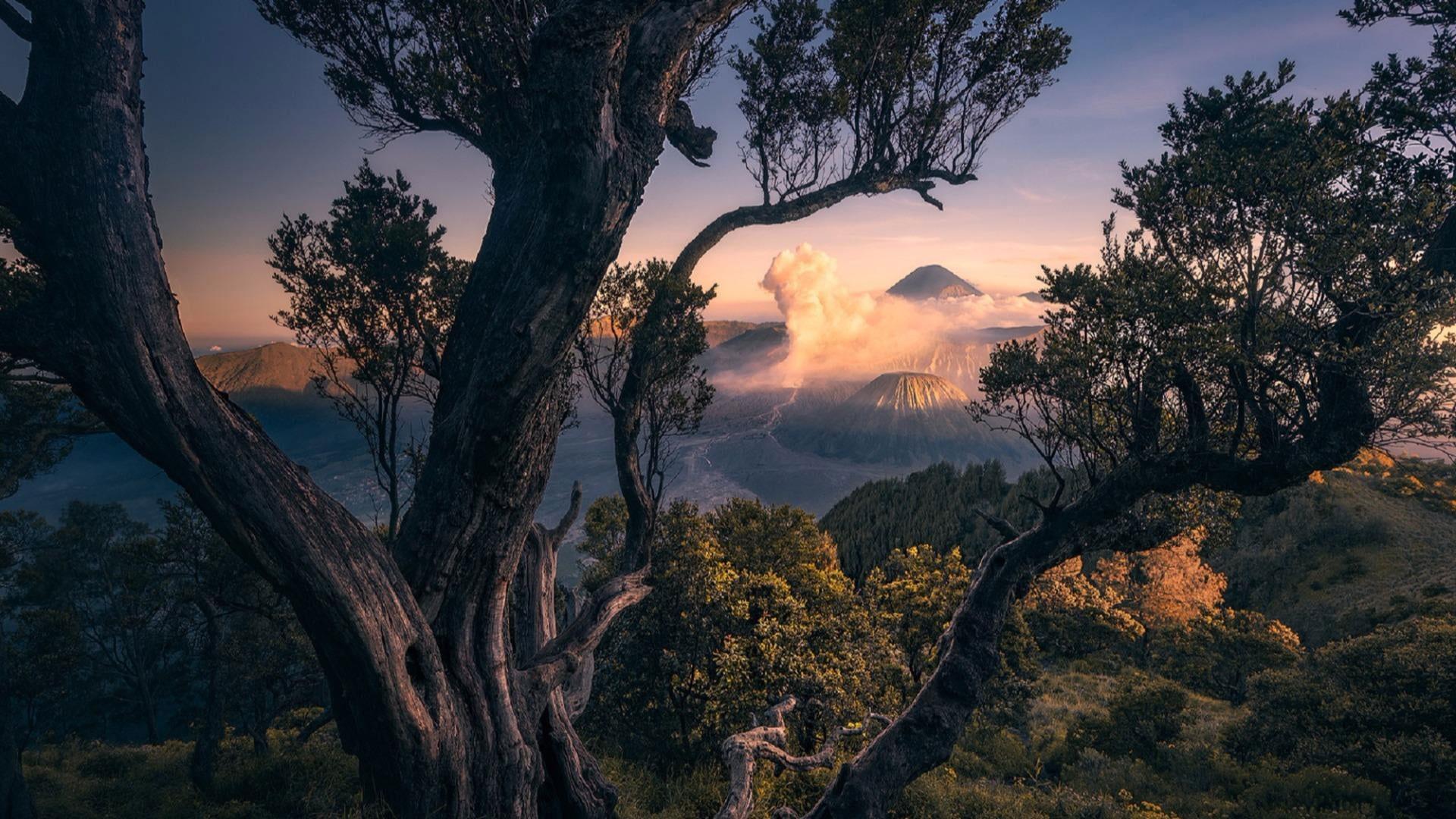 1920x1080 Morning Wallpaper, Asia, Indonesia, Bromo Tengger Semeru National Park