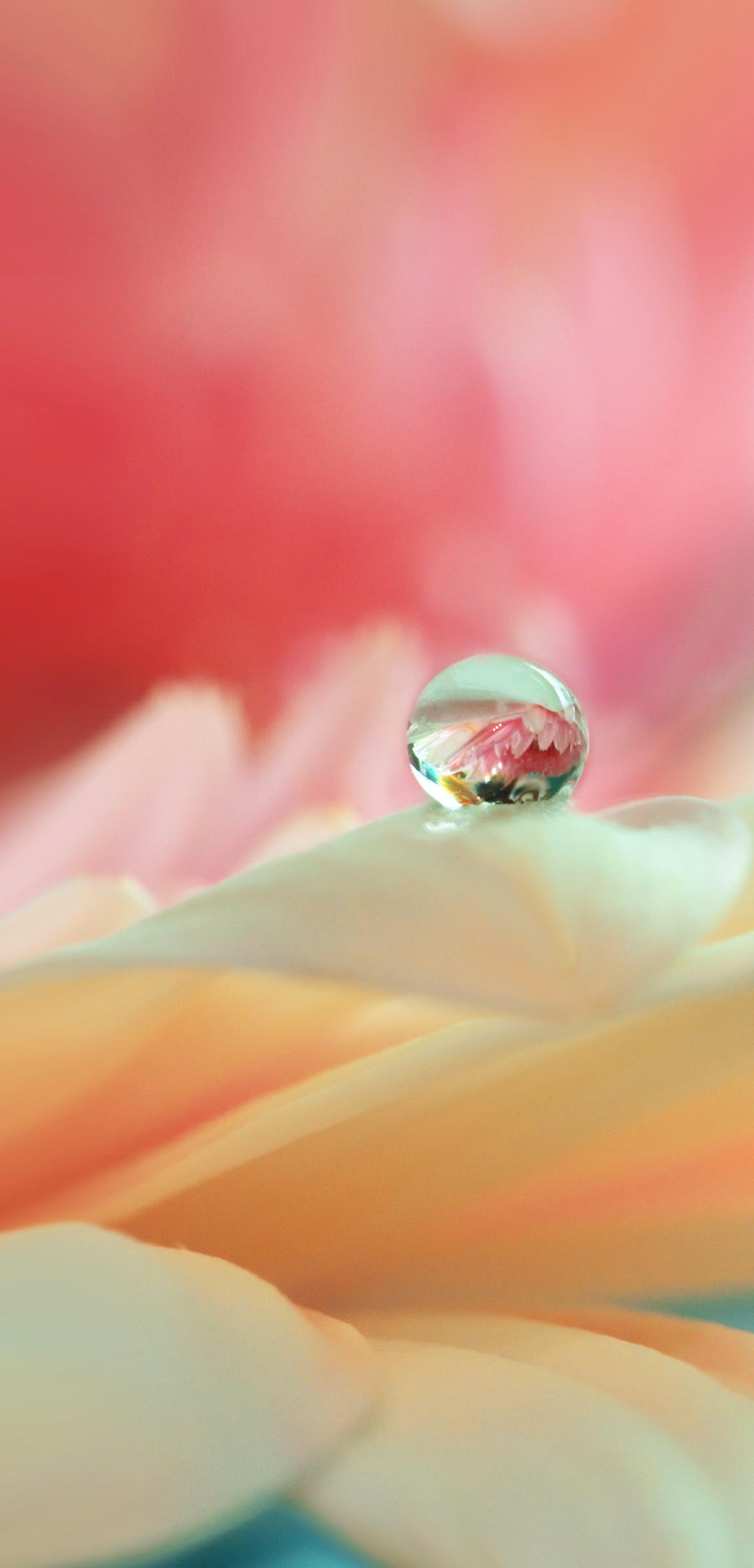 1080x2246 Original Zenfone 5 wallpaper