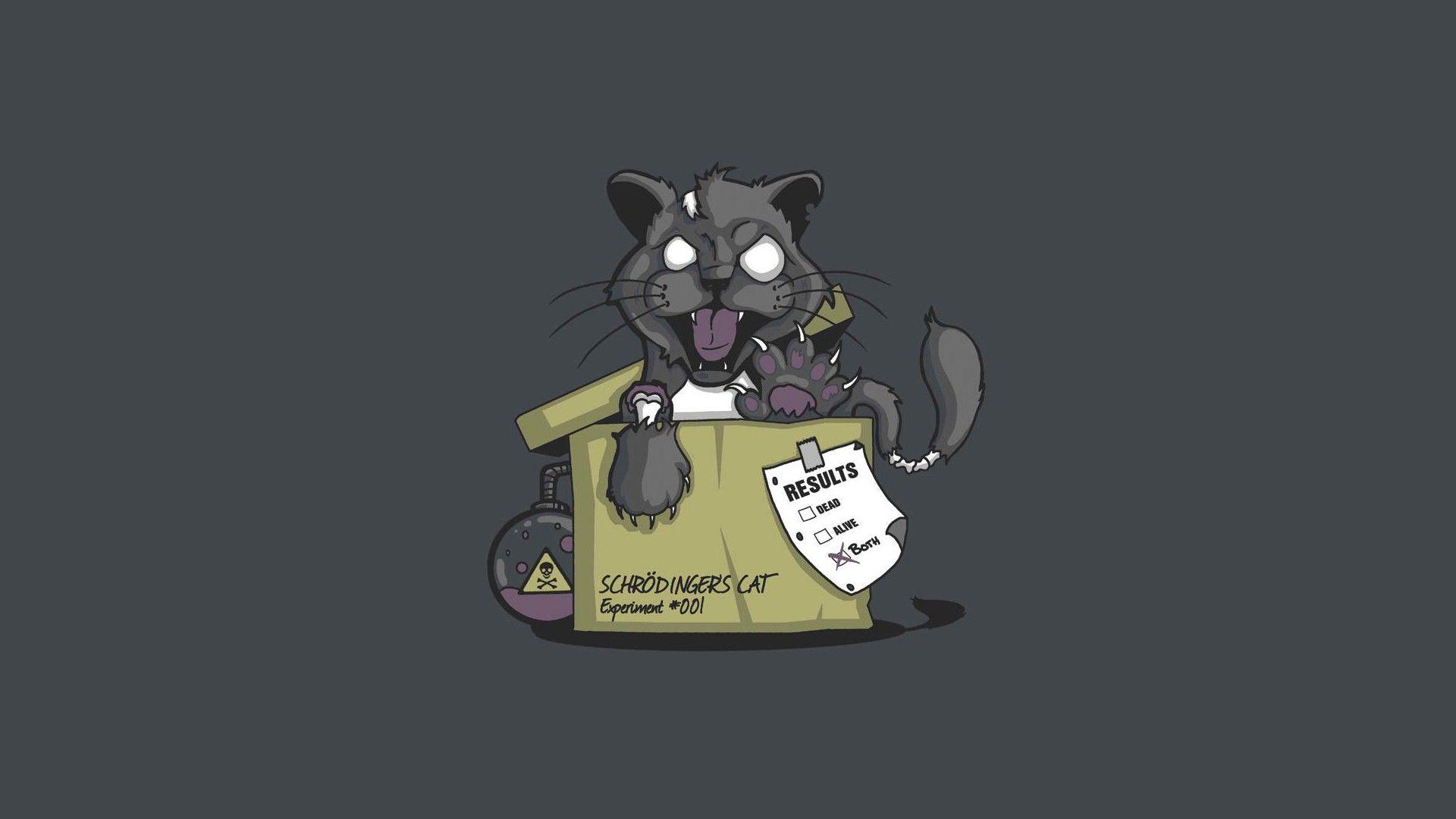 1920x1080 Zombie wallpaper, Schrodingers cat, Schrödinger's cat
