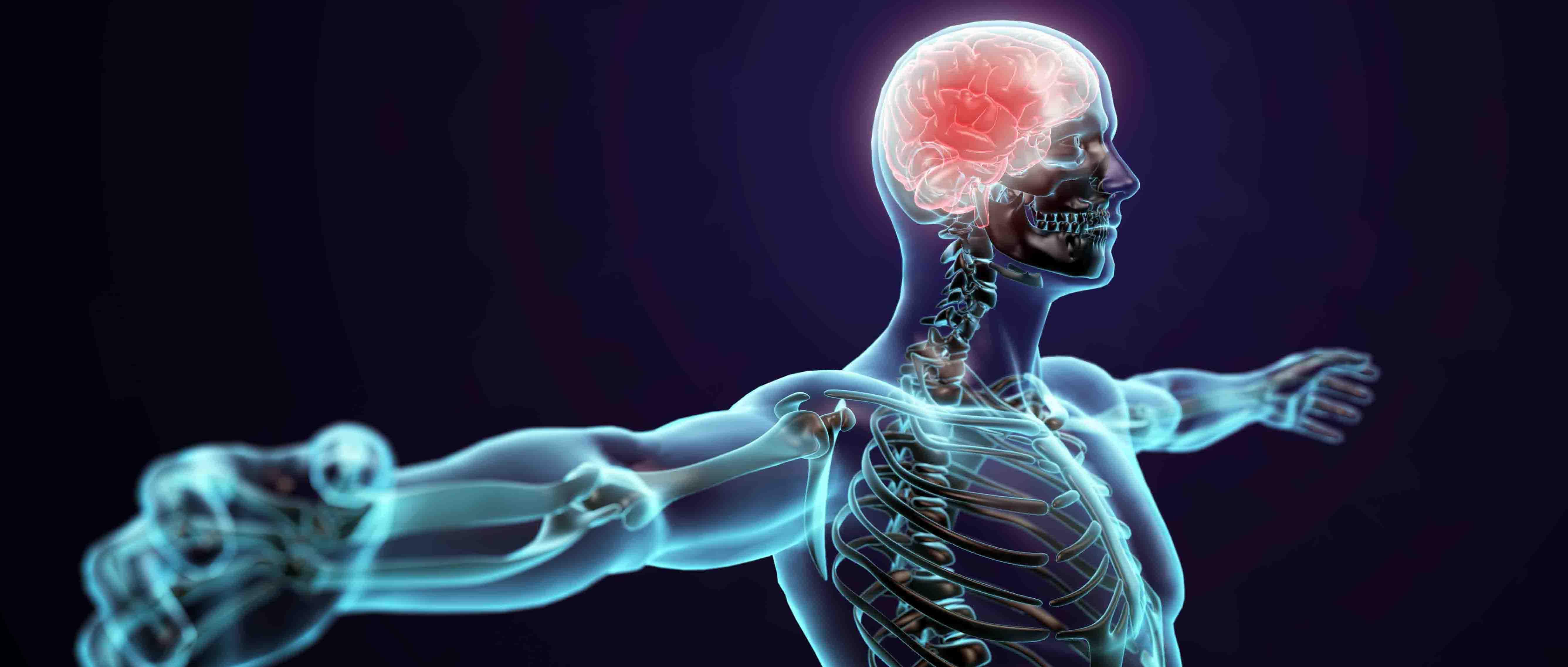 5346x2274 What is Neurokinetic Therapy? Overcome