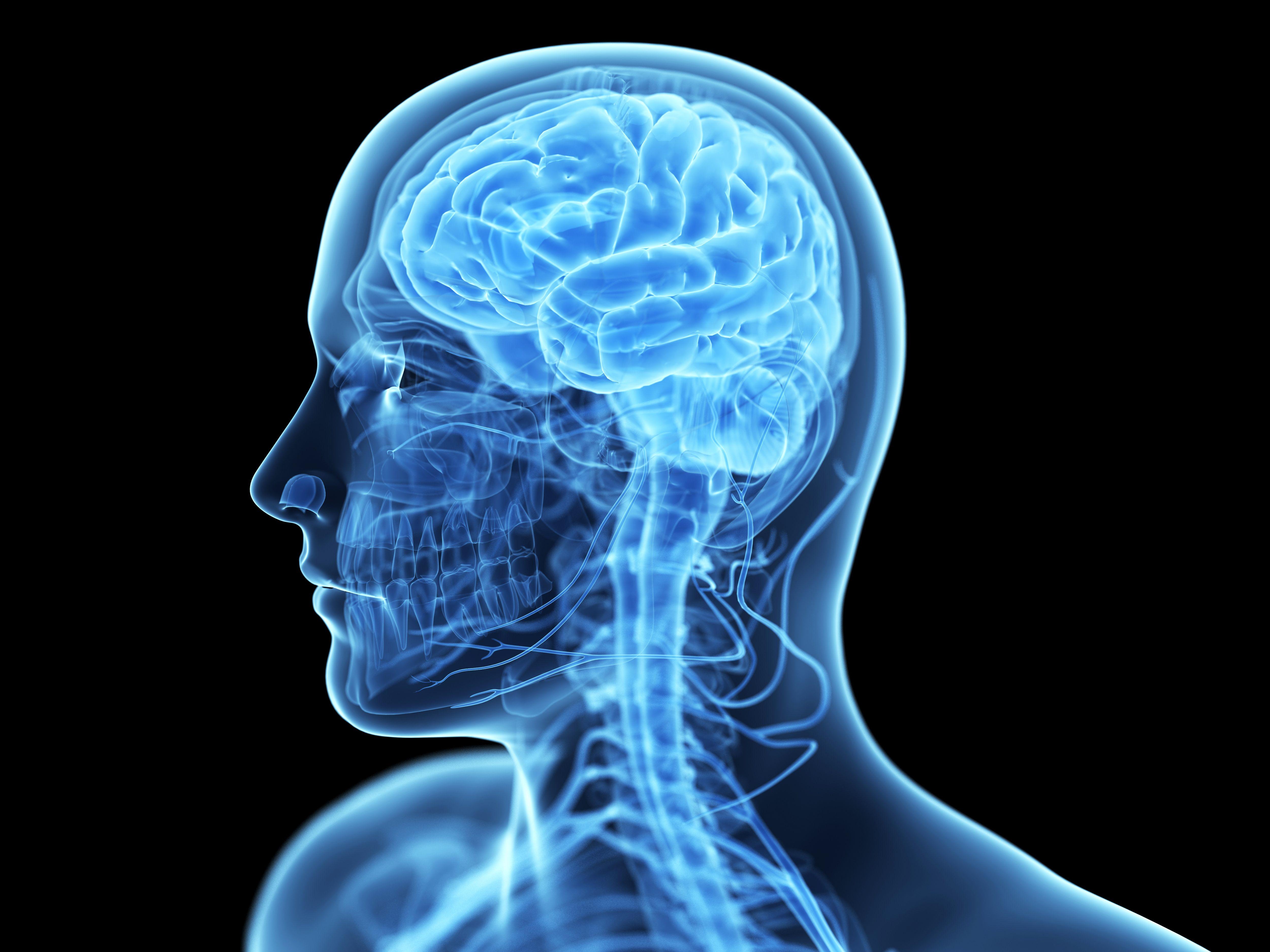 5000x3750 Nervous System Wallpaper