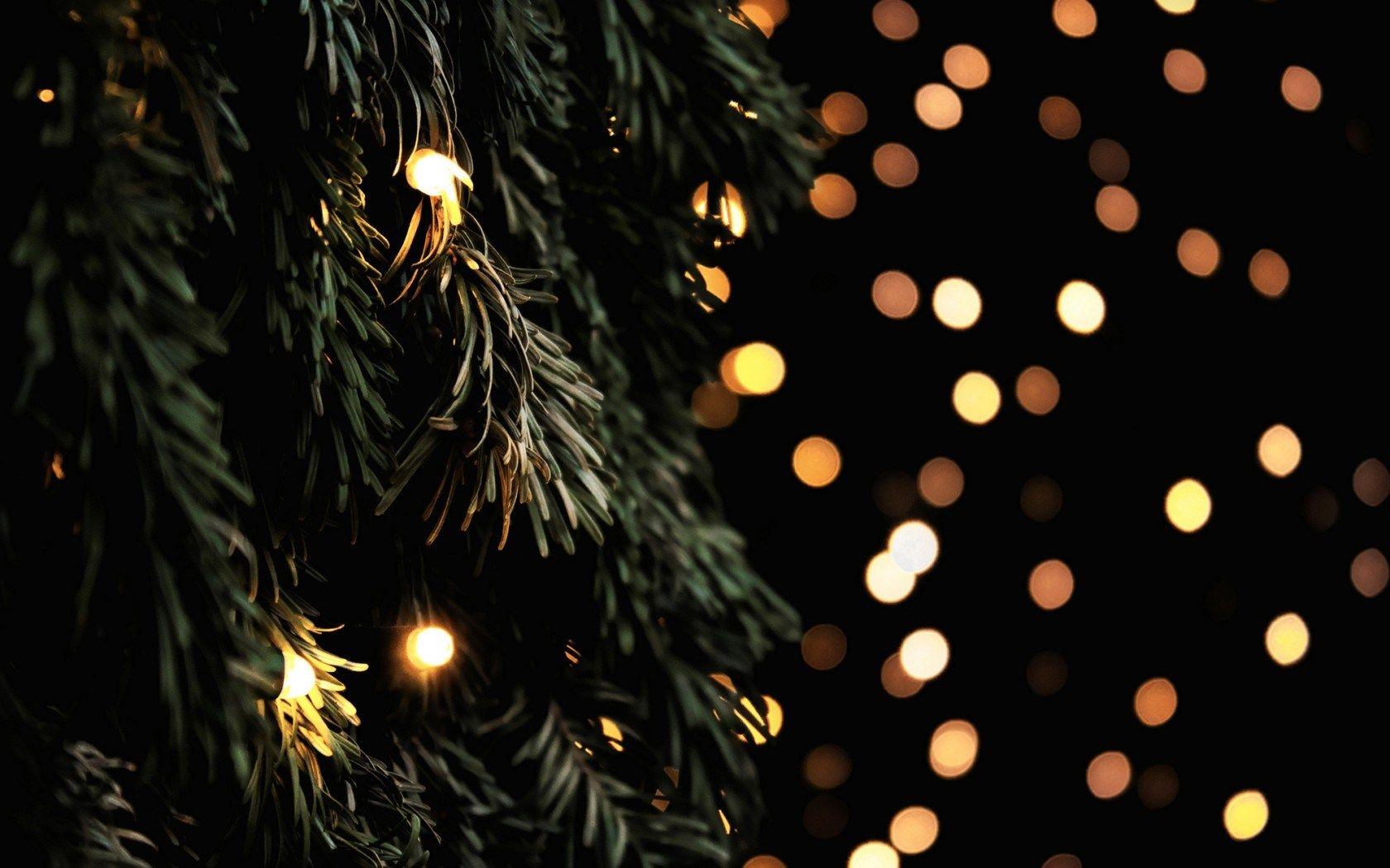 1680x1050 Christmas Garland Lights Hearts Bokeh Tree Branches Winter New Year