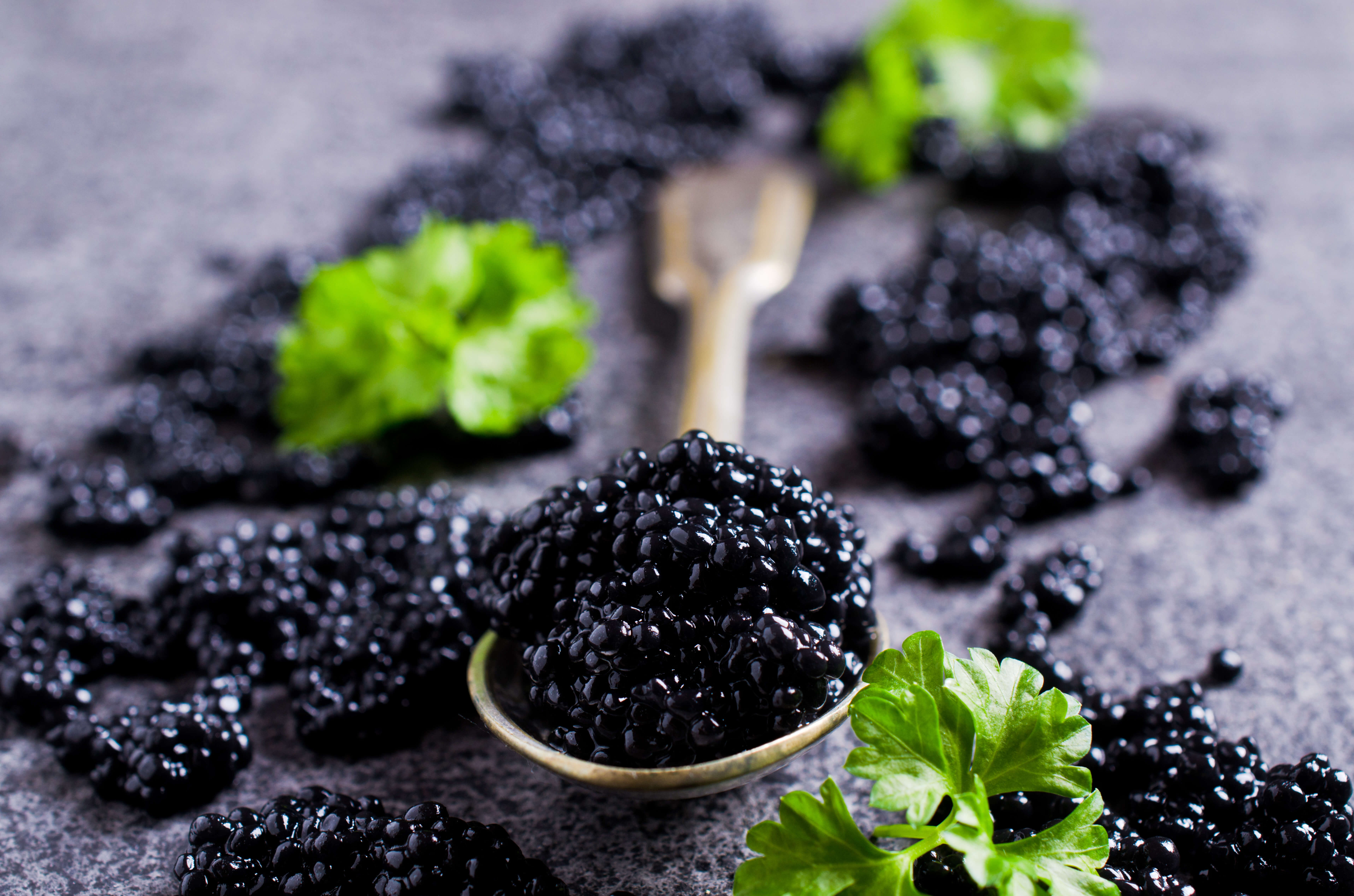 7000x4636 Caviar Grading and Ratings. Learn how to Rate Caviar. Updated for 2022