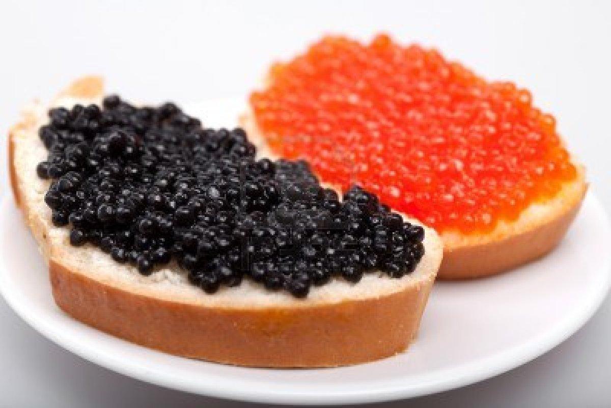 1200x801 Download Latest Free Desktop HD Wallpaper of, Food, Caviar