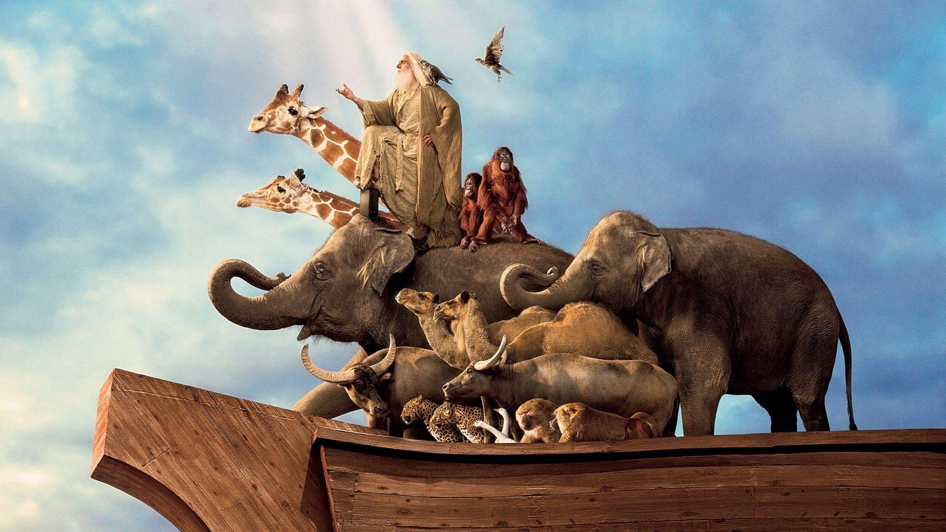 Noah's Ark Wallpapers Top Free Noah's Ark Backgrounds WallpaperAccess — free download