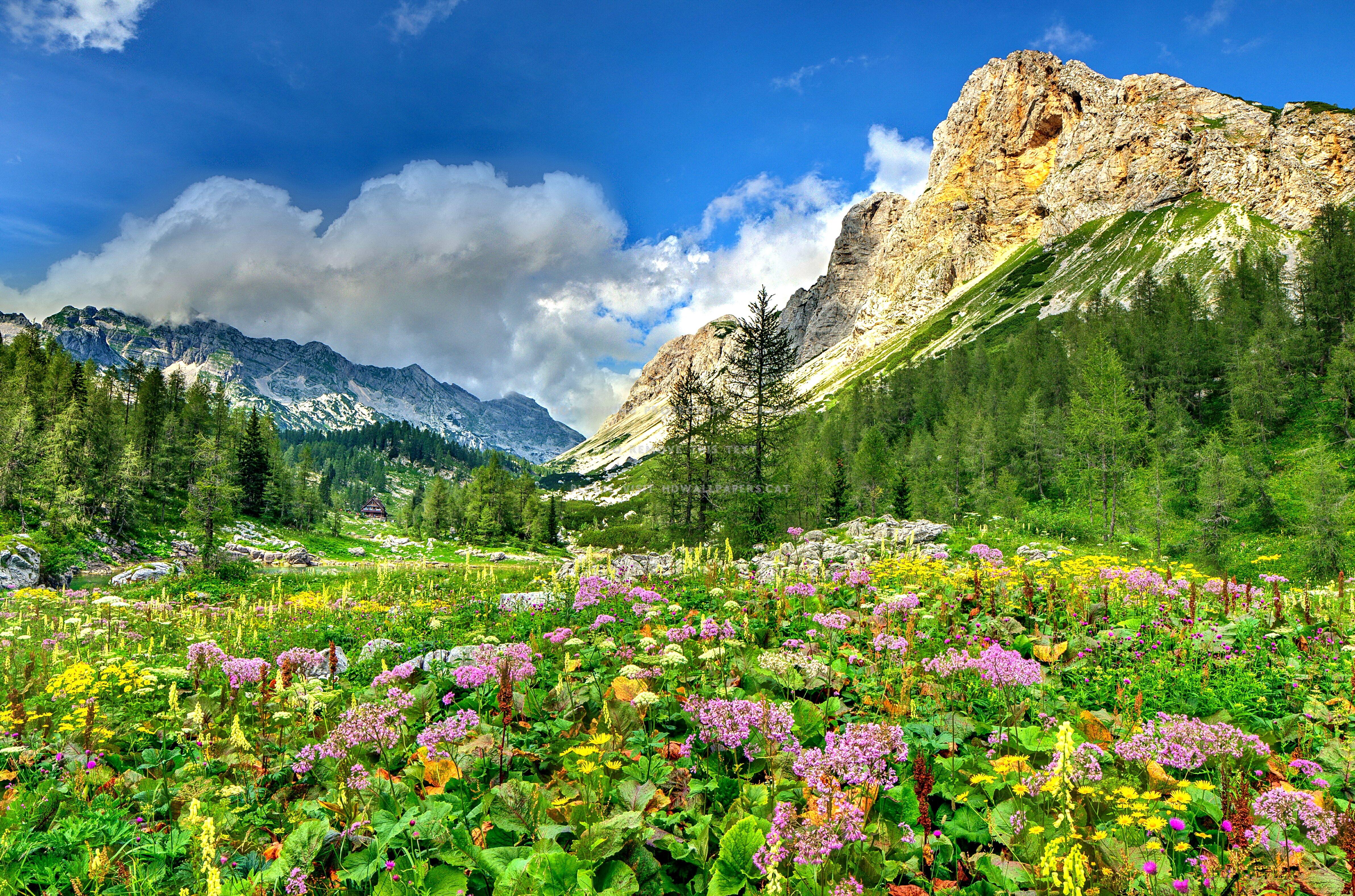 4767x3154 meadow from the mountains enchanting nature