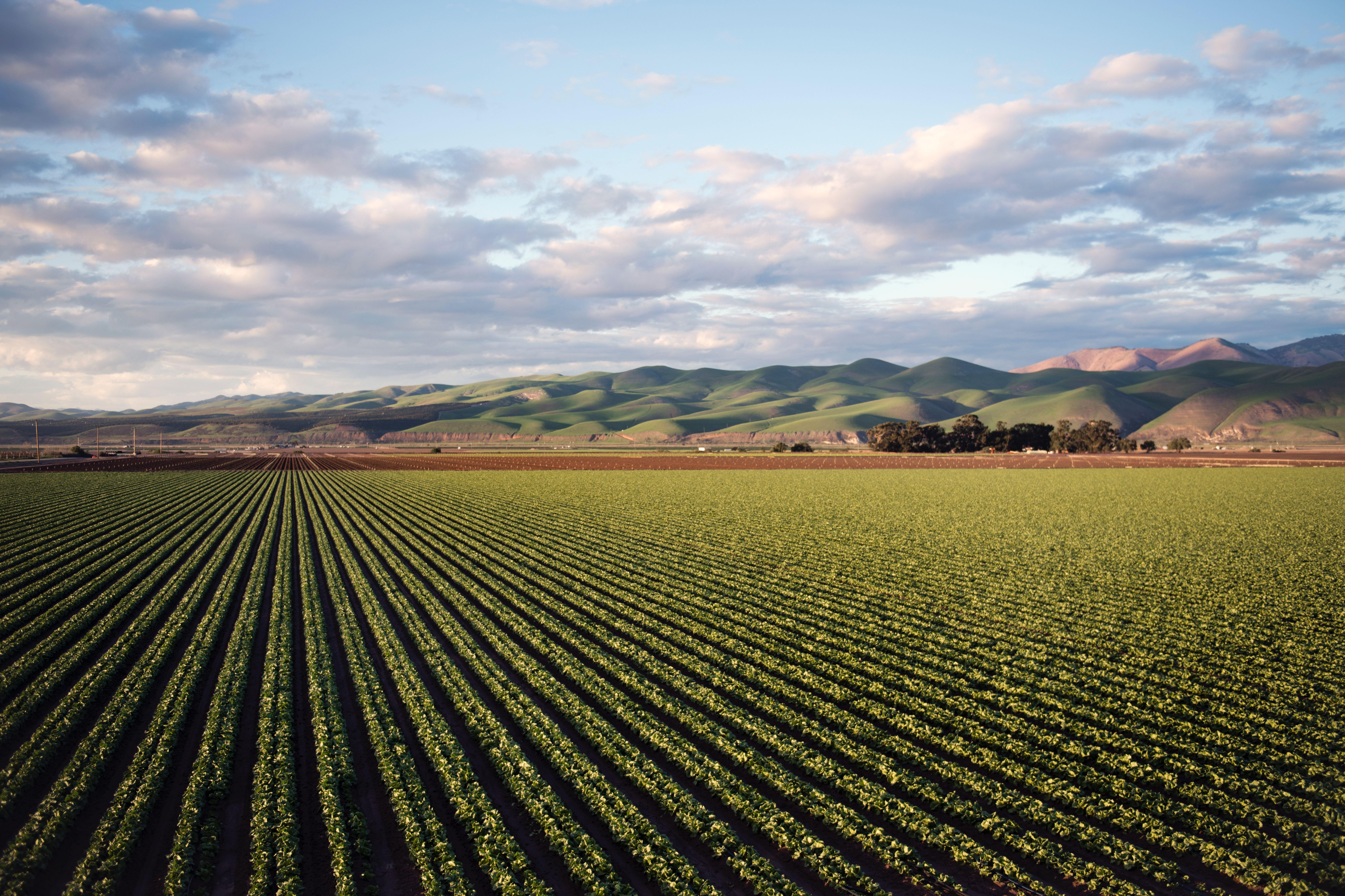 8192x5461 Engaging Agriculture Photo