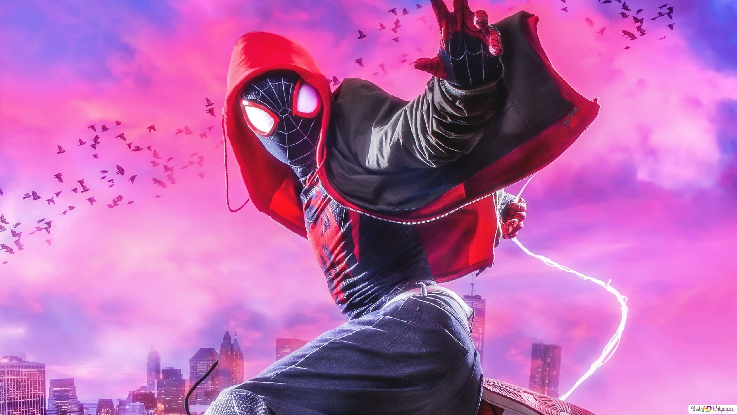 2560x1440 Spider Man: Into The Spider Verse Movie Morales (hoodie Hero) HD Wallpaper Download