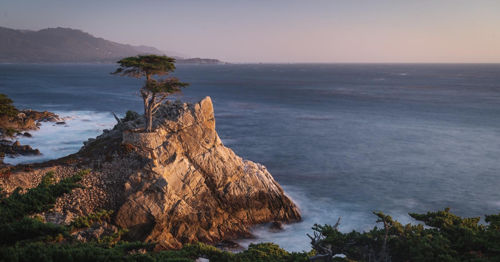 1600x840 In Defiance Of Apple, This Is A Nature Themed MacOS Monterey Wallpaper