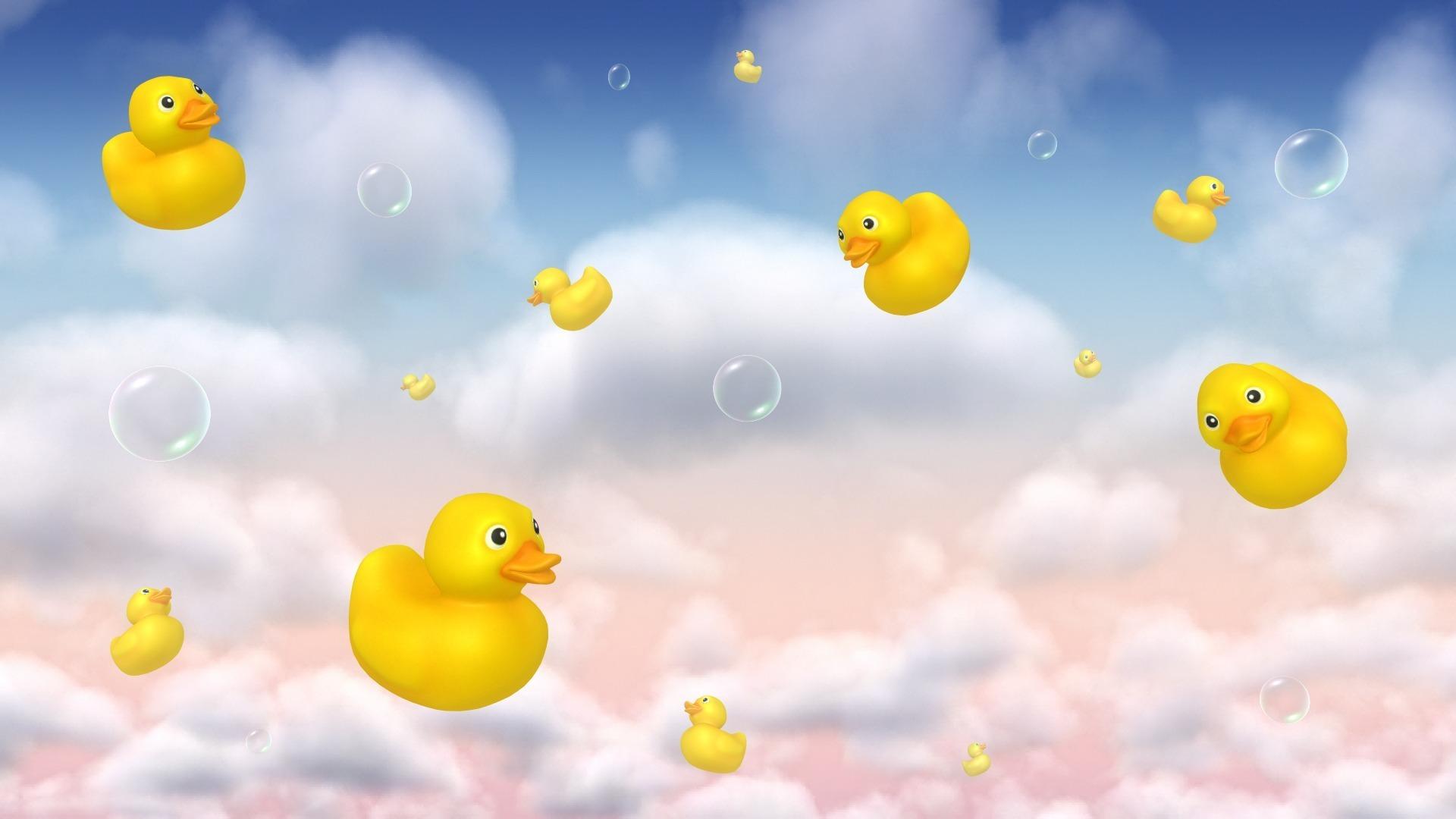 Cute Duck Computer Wallpapers - Top Free Cute Duck Computer Backgrounds