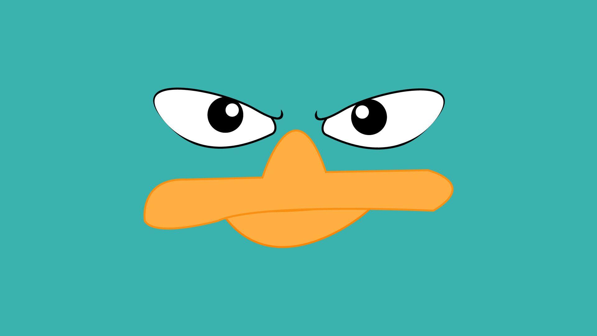 1920x1080 Duck, Face, Beak Wallpaper Free Download