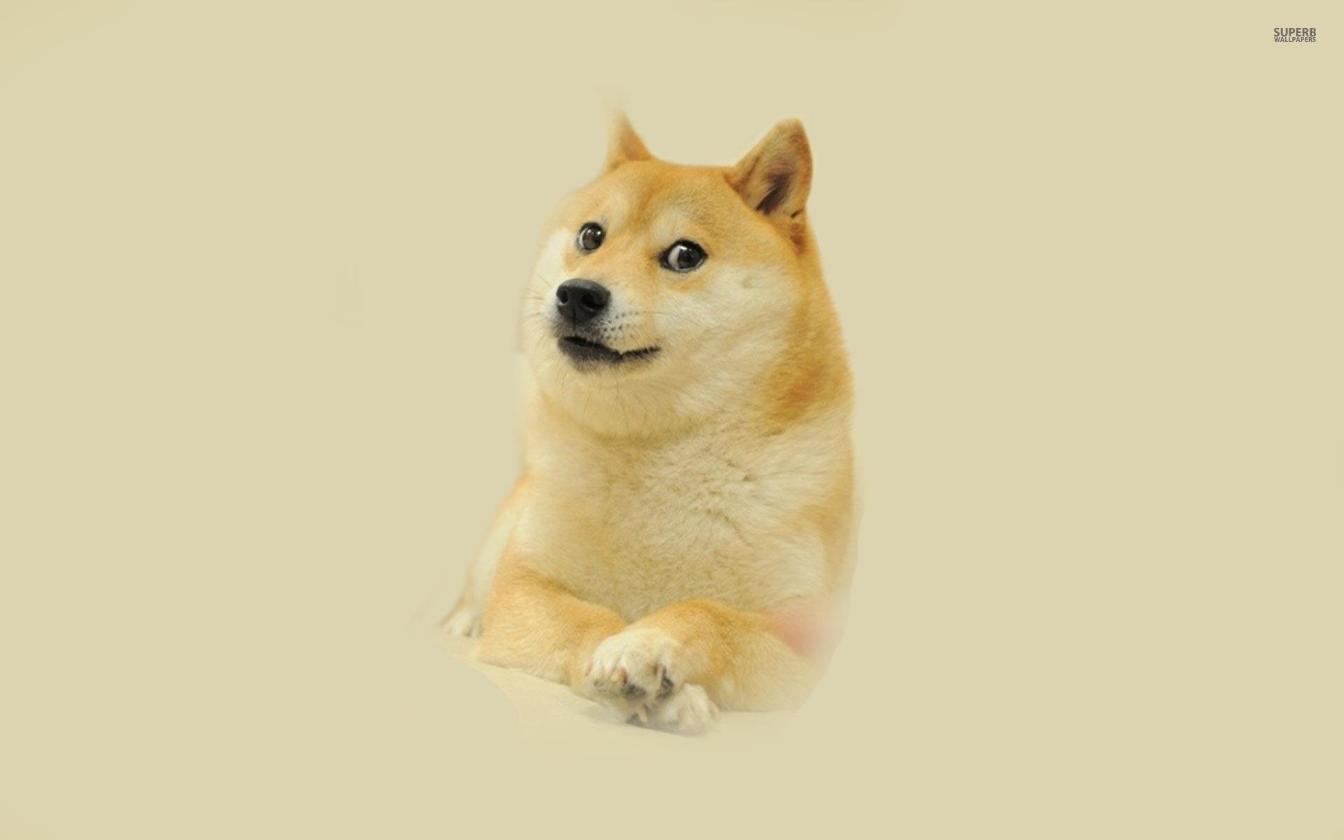 1920x1200 Doge Meme iPhone Wallpaper Doge Meme Ipho Doge HD Wallpaper