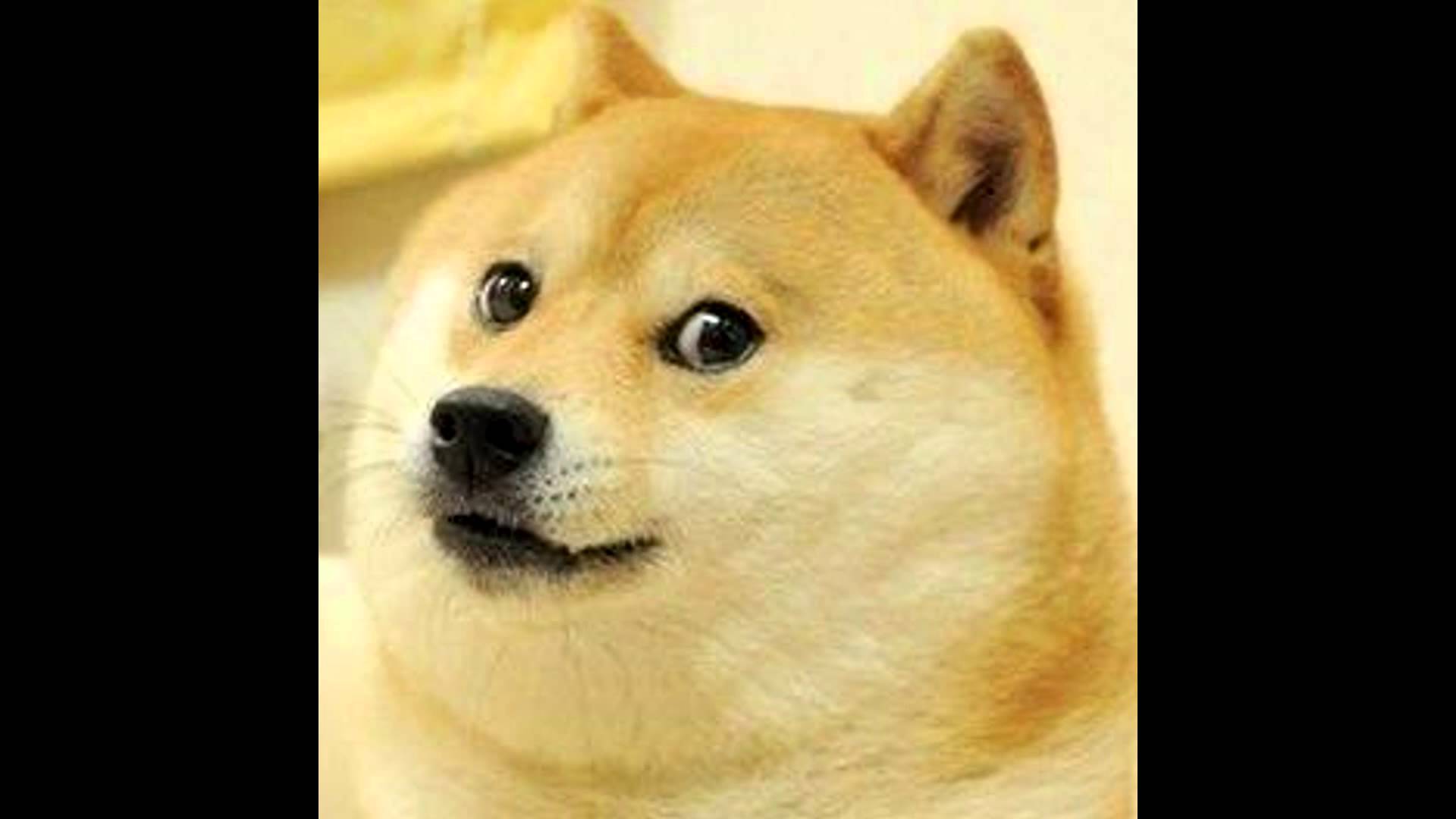 1920x1080 So Doge Magic Card Memes HD Wallpaper