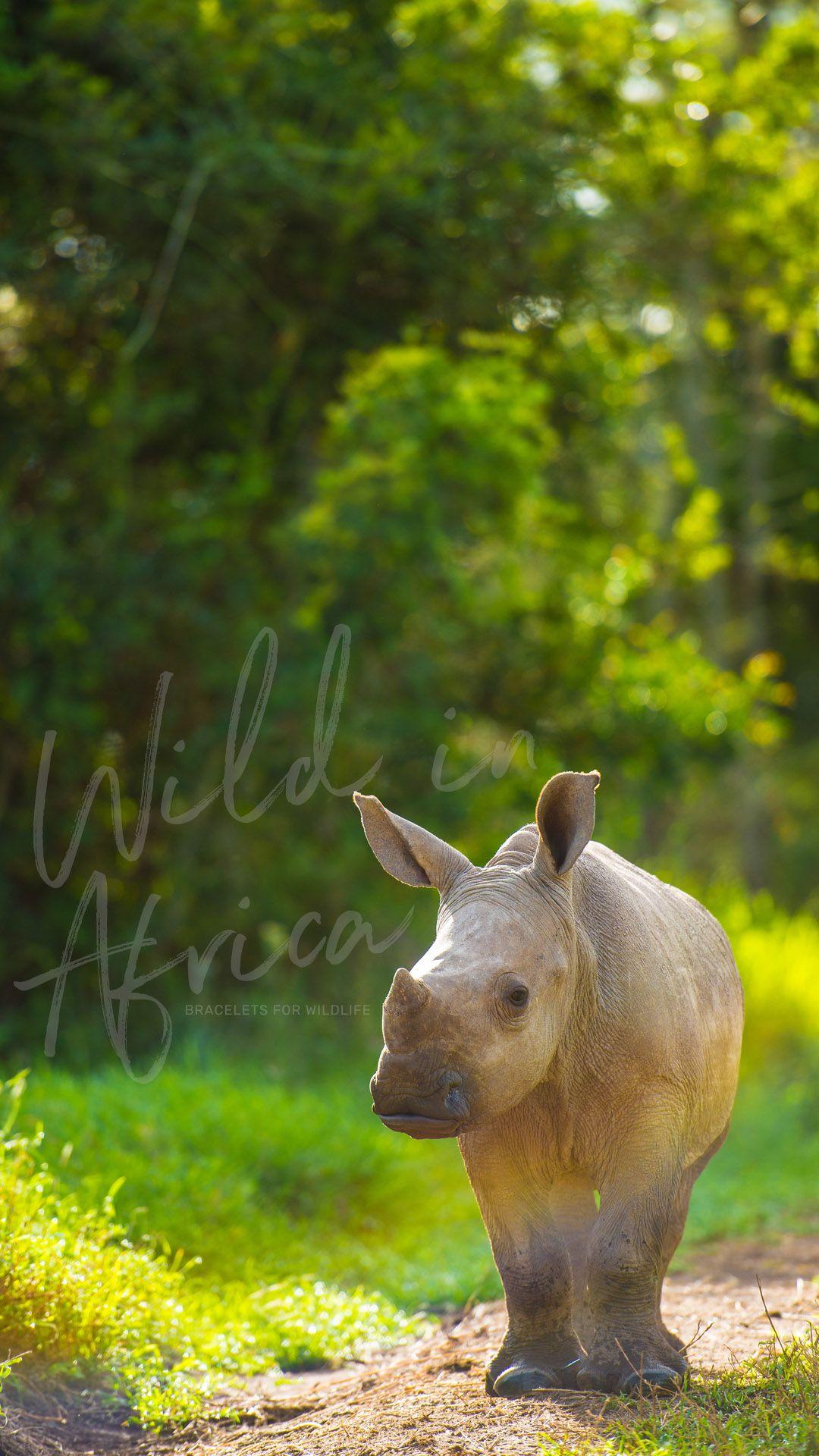 1080x1920 Rhino Wallpaper