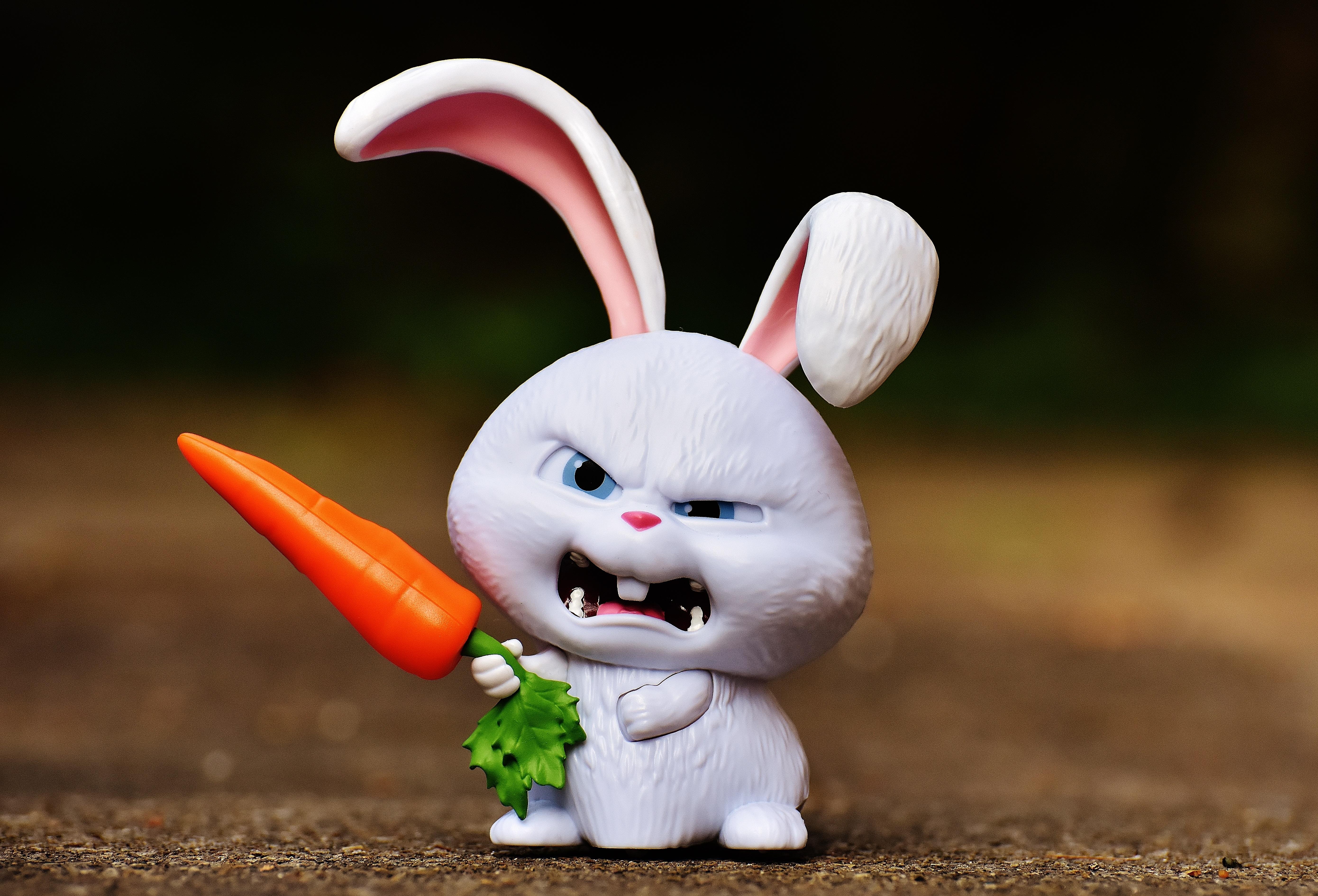 5561x3780 Evil bunny with a carrot in hand free image download