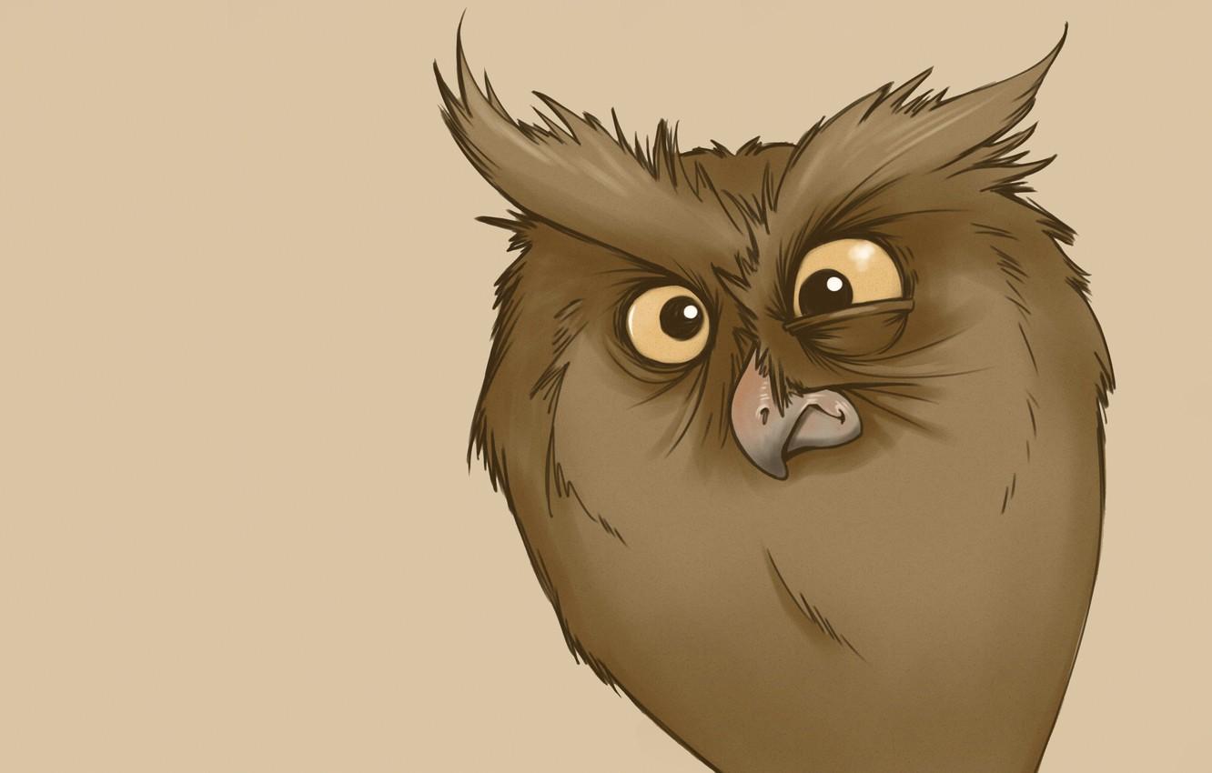 1332x850 Wallpaper owl, minimalism, owl, funny look image for desktop, section минимализм
