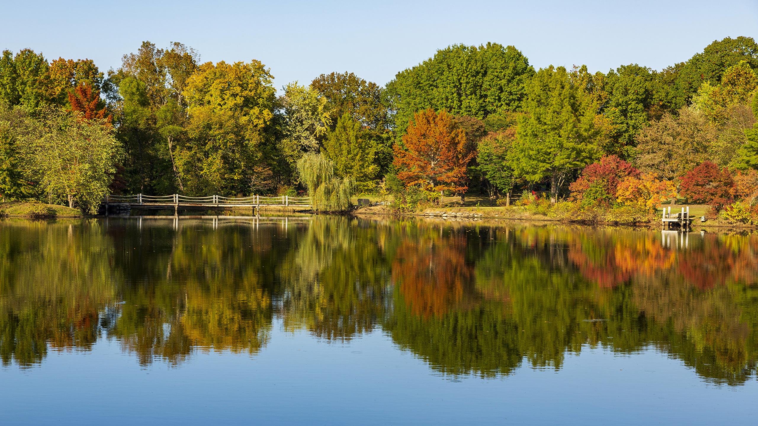 2560x1440 Wallpaper USA Ozarks Missouri Autumn Nature Bridges Rivers 2560x1440