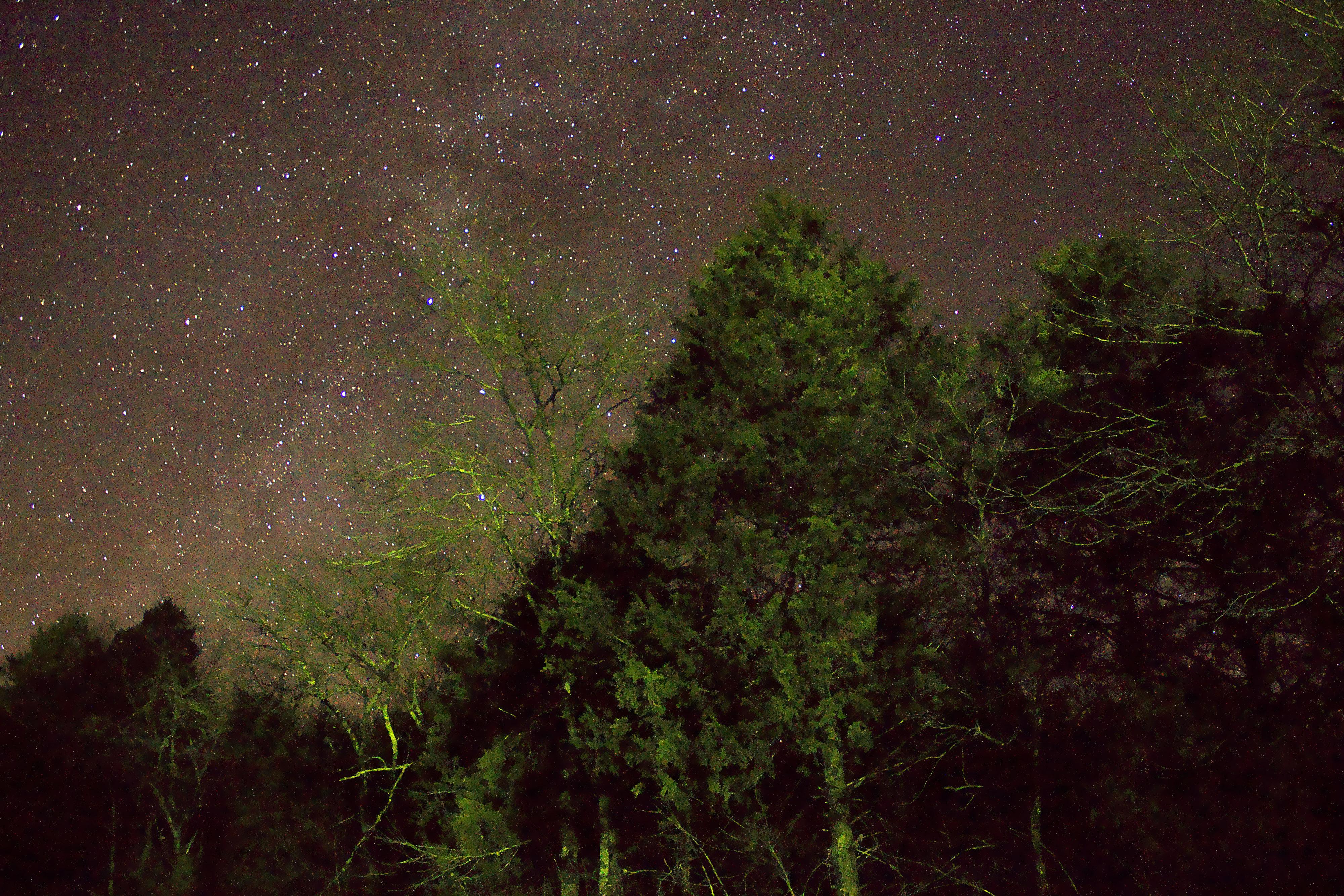 4000x2667 Stars Above the Trees in Ozark National Scenic Riverways, Missouri image Domain photo