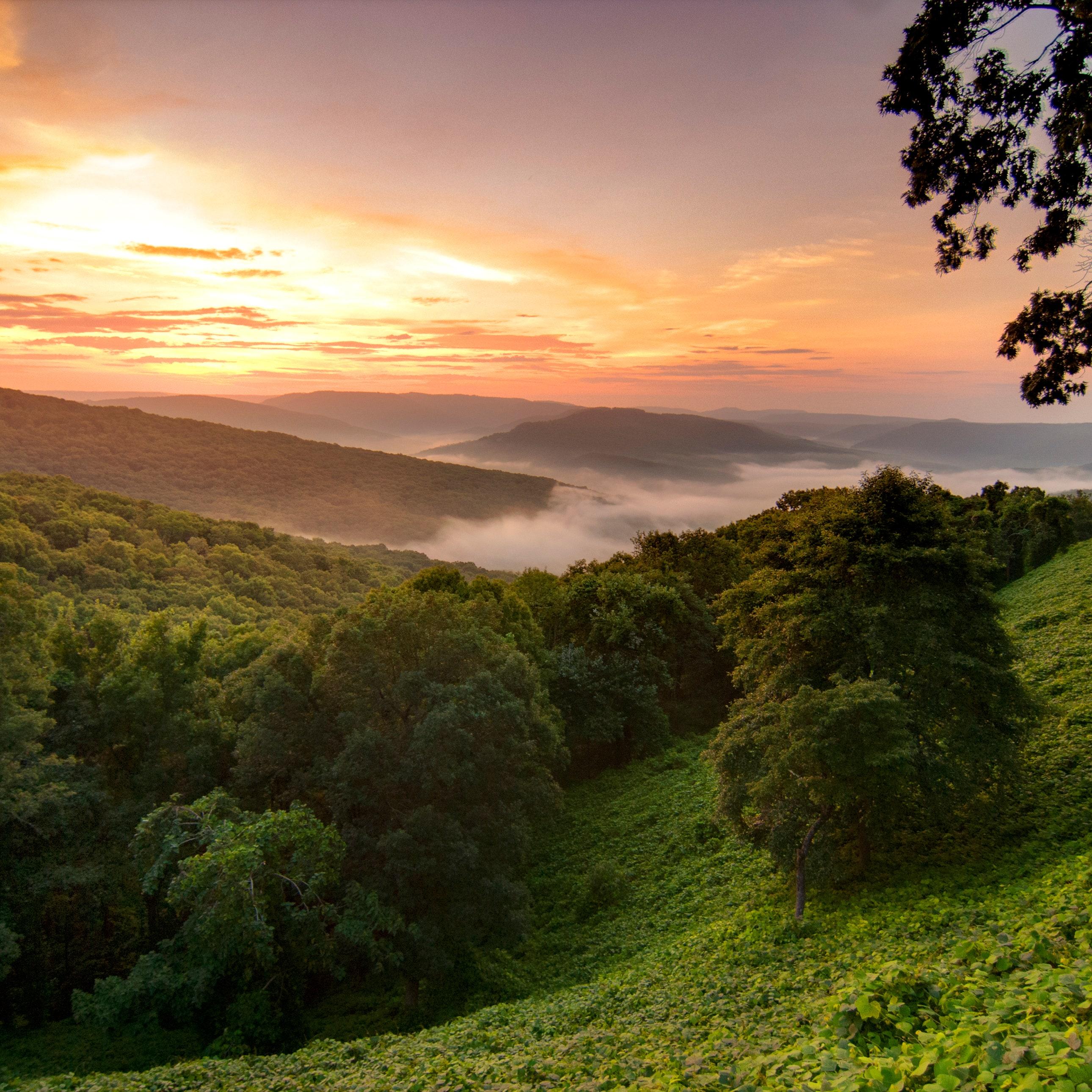 2580x2580 Why Aesthetes Should Consider a Trip to Bentonville, Arkansas, and the Ozarks