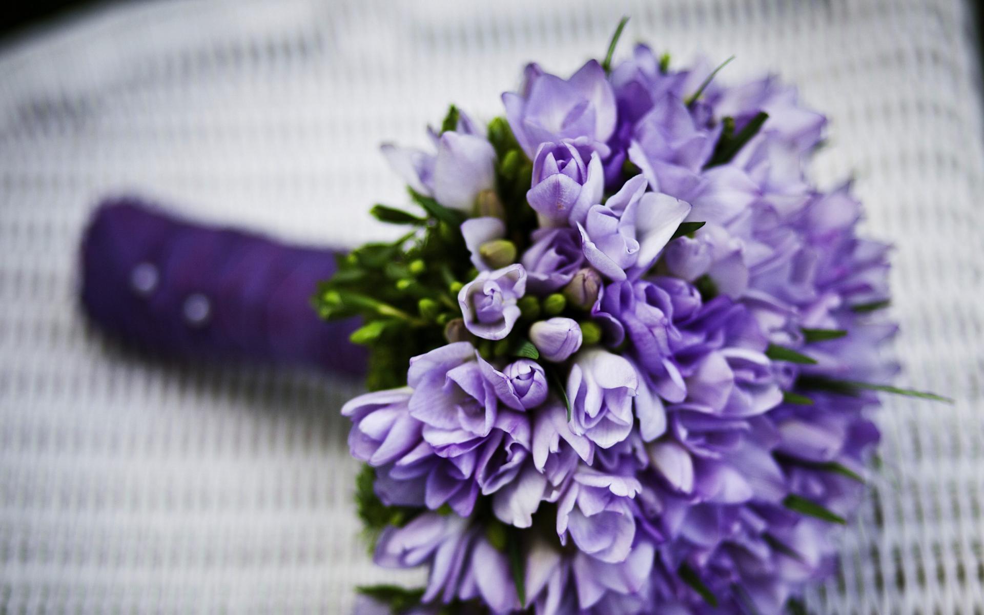 1920x1200 Purple Flower Wallpaper 9 X 2160