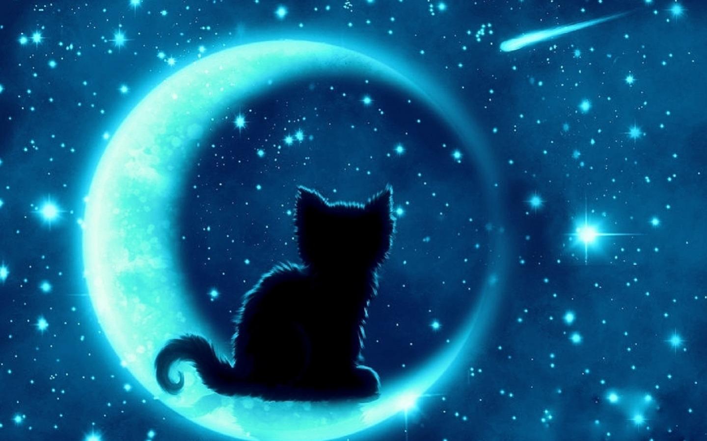 Black Cat Moon Wallpapers - Top Free Black Cat Moon Backgrounds ...