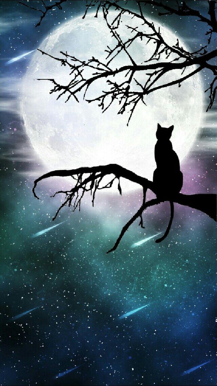 750x1334 CocoPPa в Twitter: Mystery Night #cat #star #moon #cat #lovely #night #shine #cute #girls #love #kawaii #pink #beautiful #homescreen #wallpaper #icon #cocoppa