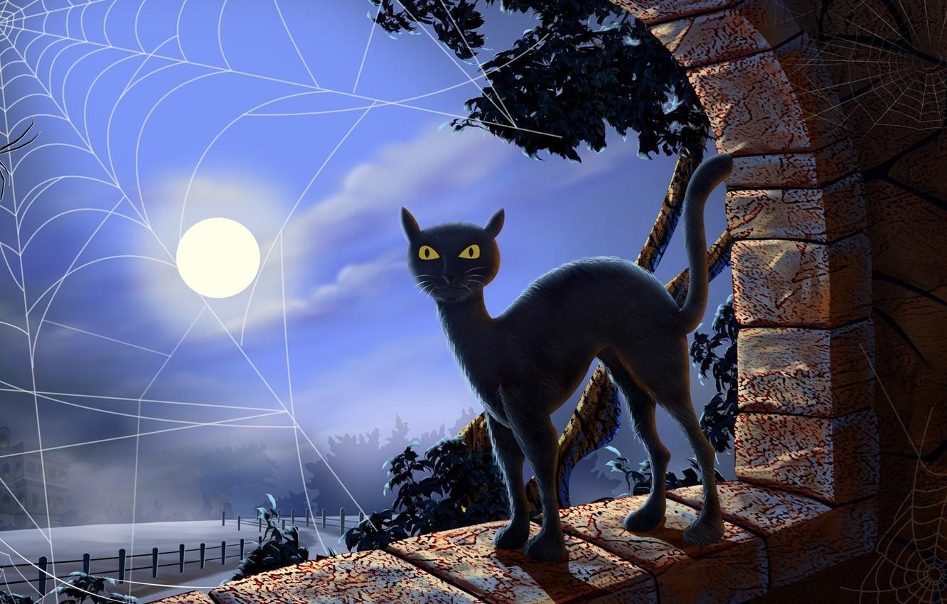 1332x850 Wallpaper night, web, the full moon, black cat, yellow eyes, black magic image for desktop, section фантастика