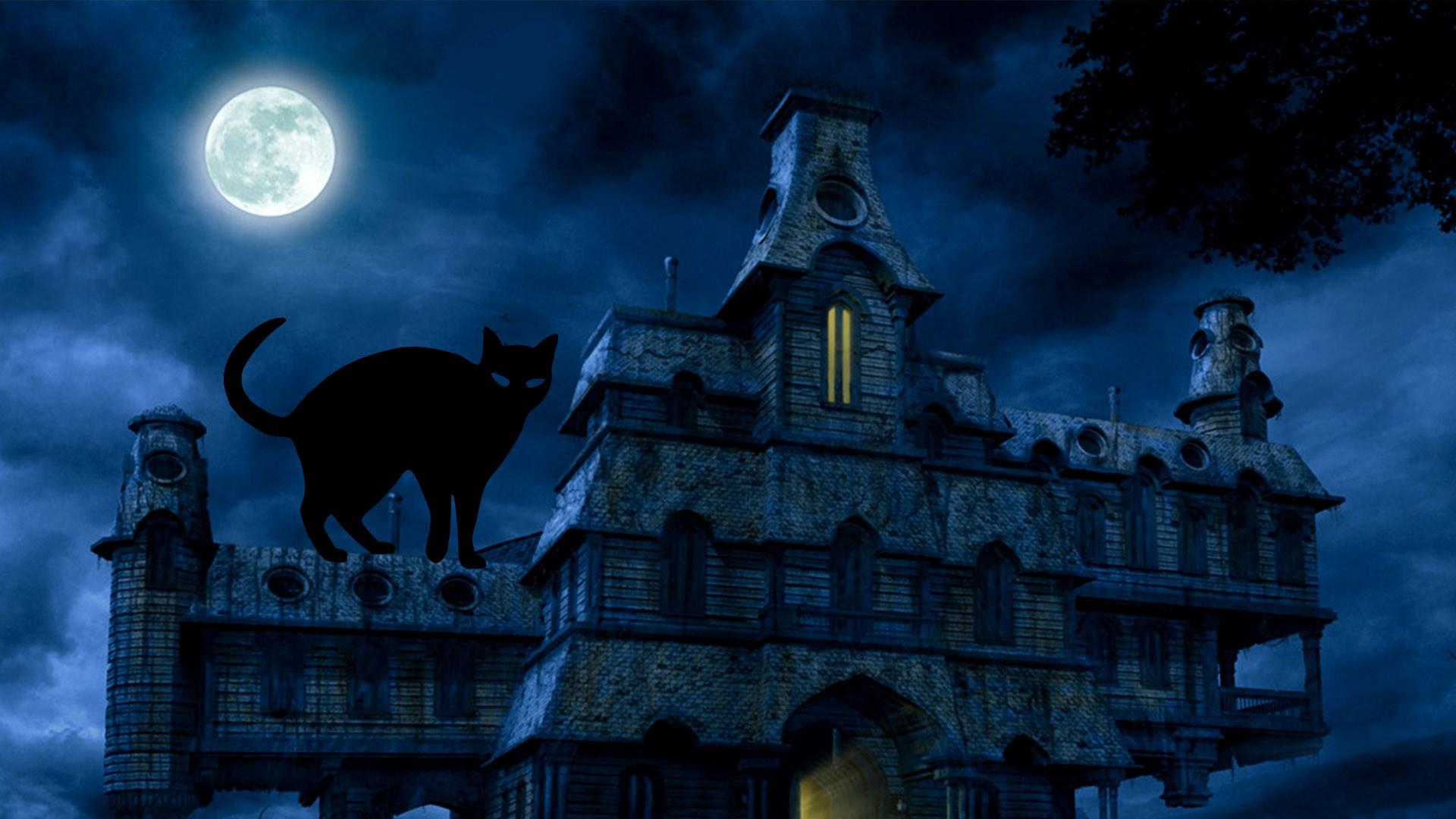 1920x1080 Halloween Black Cat HD Desktop Wallpaper 34676