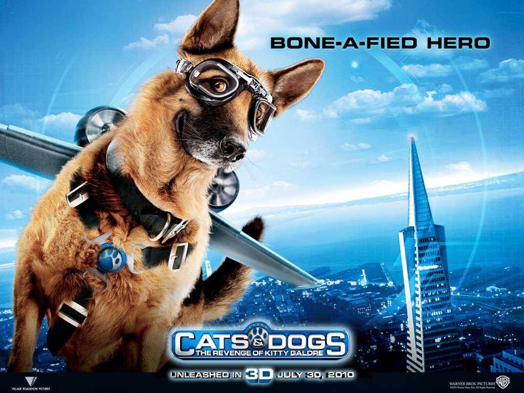 1024x768 Free download The police dog in Cats Dogs The Revenge of Kitty Galore wallpaper [1024x768] for your Desktop, Mobile & Tablet. Explore Police K9 Wallpaper. Police Car Wallpaper, Military