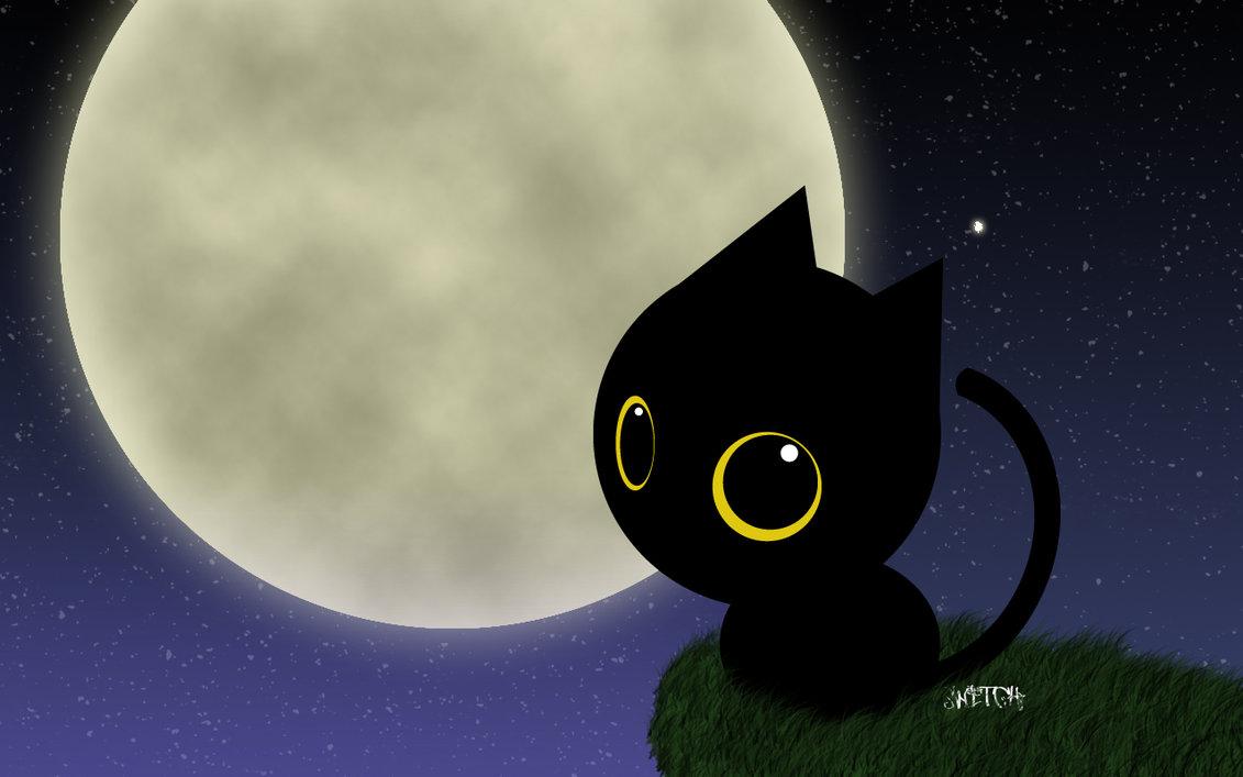 1131x707 Black Cat Halloween Wallpaper