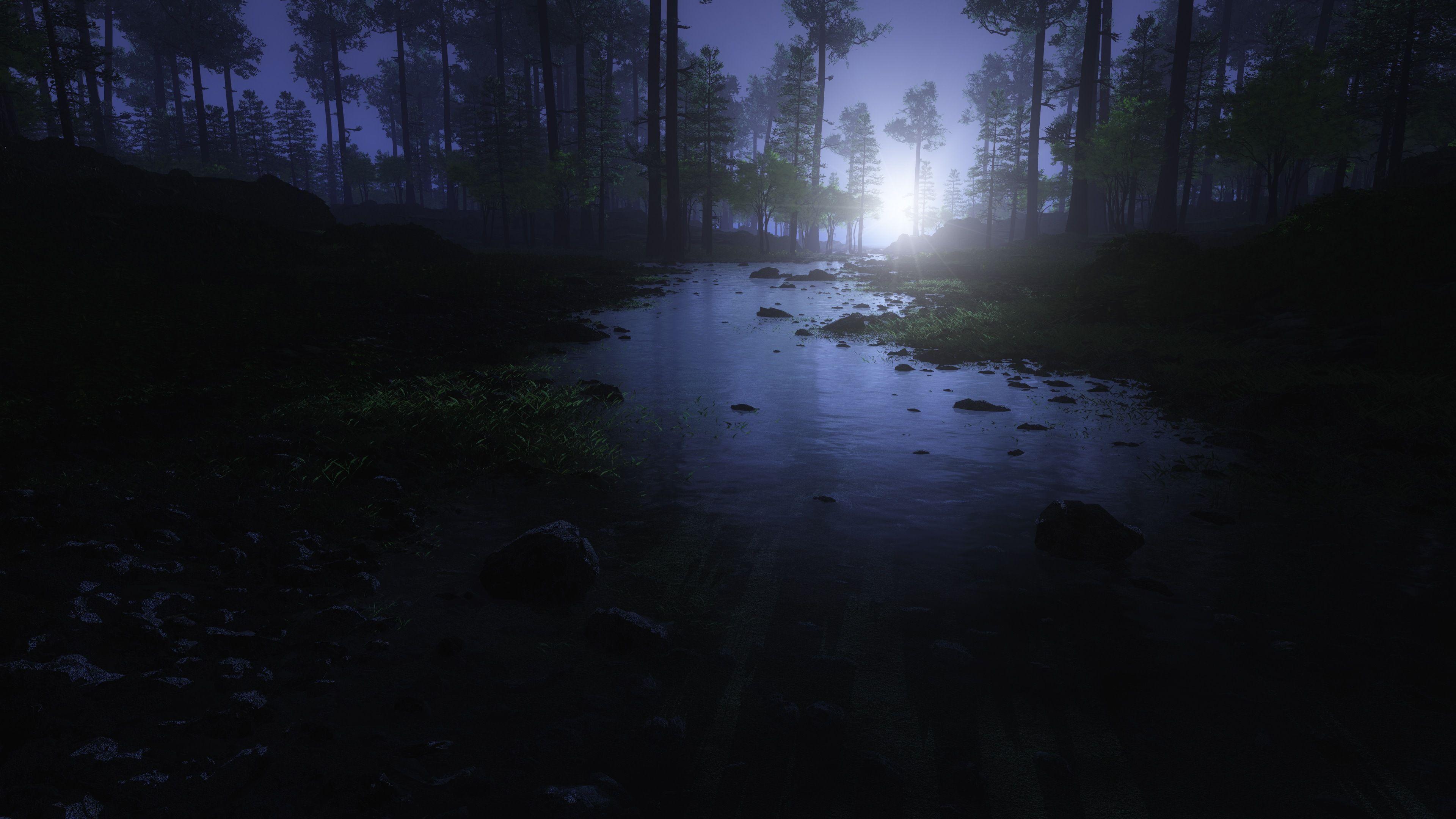 Dark Forest 4K Ultra HD Wallpapers Top Free Dark Forest 4K Ultra HD 