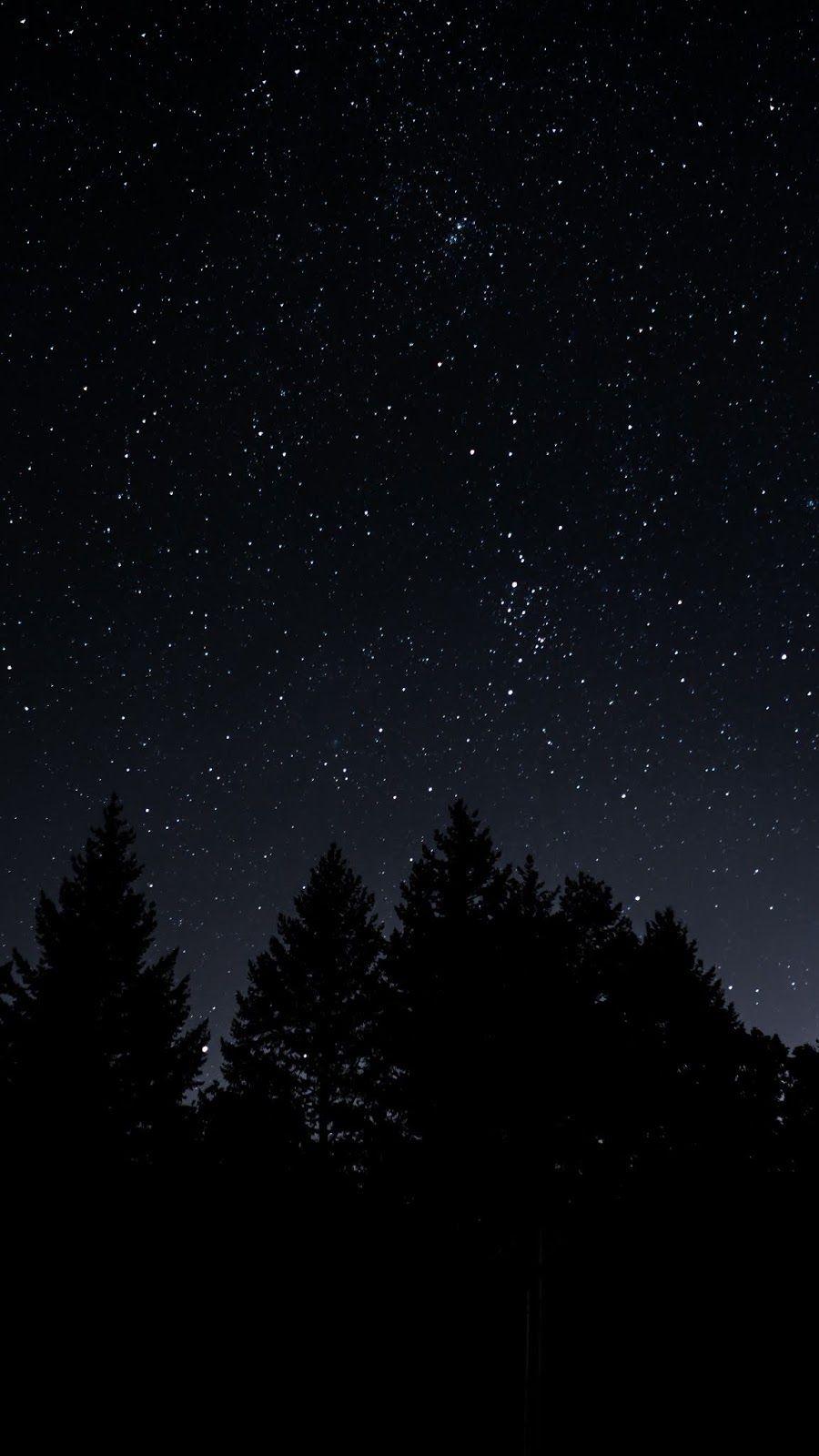 900x1600 Free download starry sky trees night Night sky wallpaper Dark wallpaper [900x1600] for your Desktop, Mobile & Tablet. Explore Night Background. Night Wallpaper, Christmas Night Wallpaper, Firework Night Wallpaper