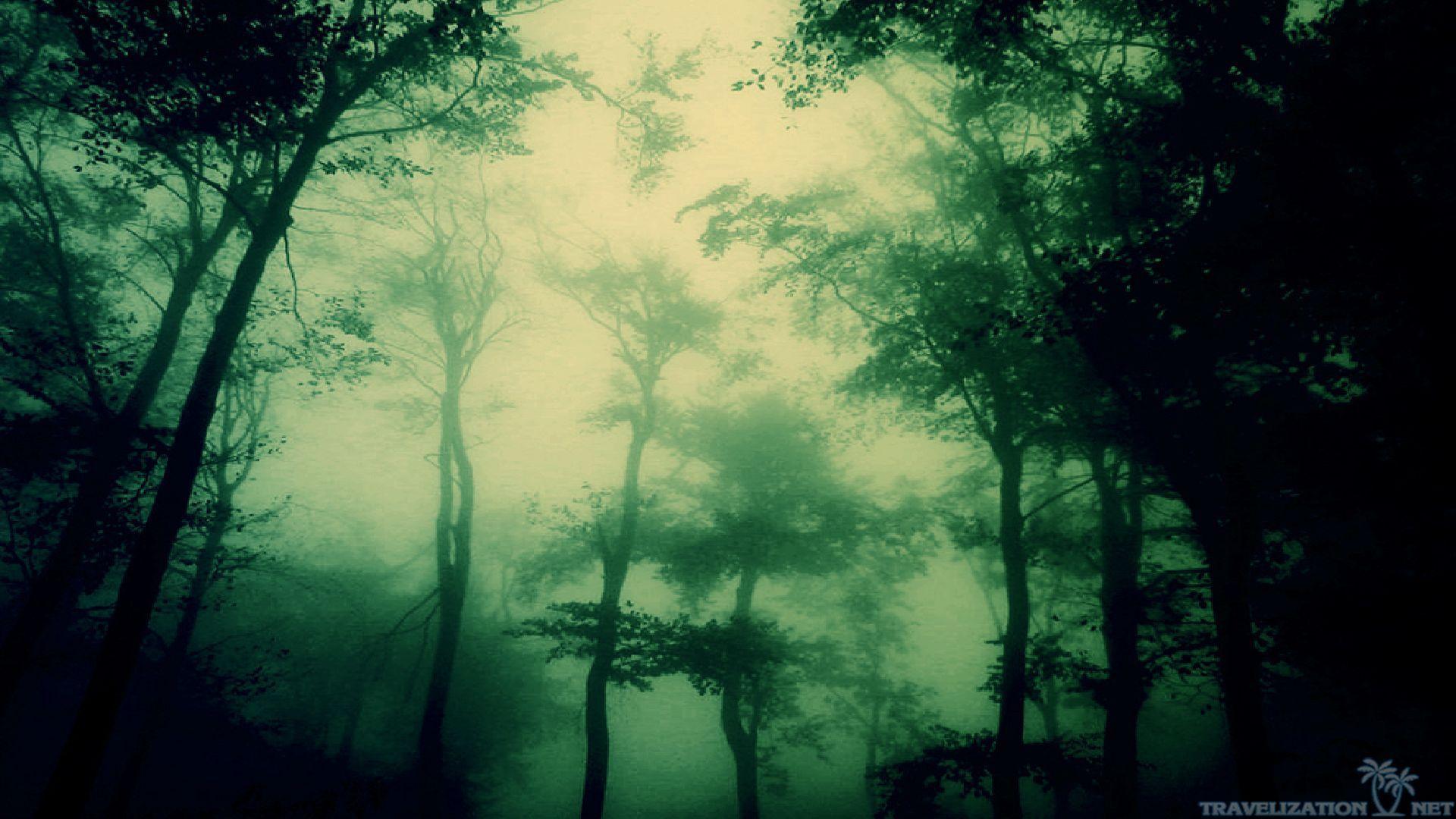 1920x1080 Dark Forest Wallpaper 1080p. Forest .com
