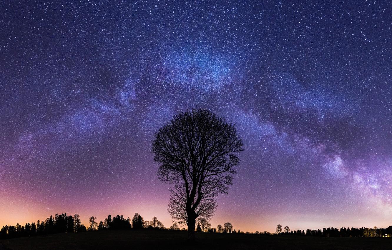 1332x850 Wallpaper autumn, the sky, stars, night, branches, tree, silhouette, The milky way, alone, starry sky, the night sky image for desktop, section пейзажи