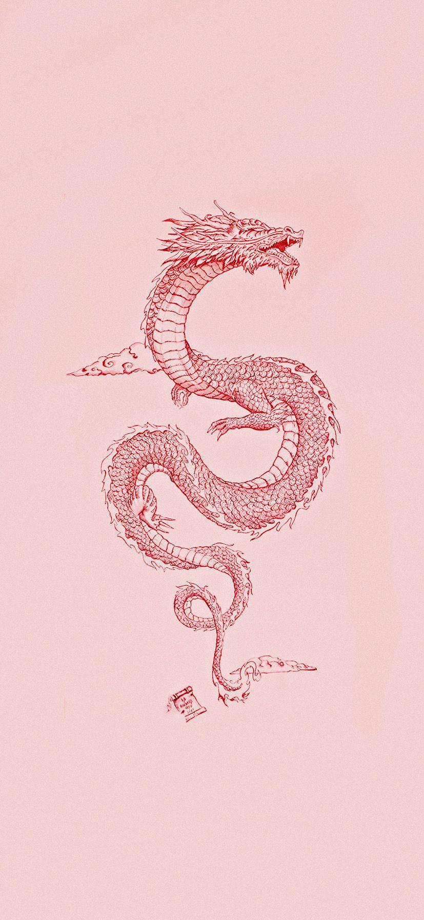 827x1792 Aesthetic Dragon Wallpaper