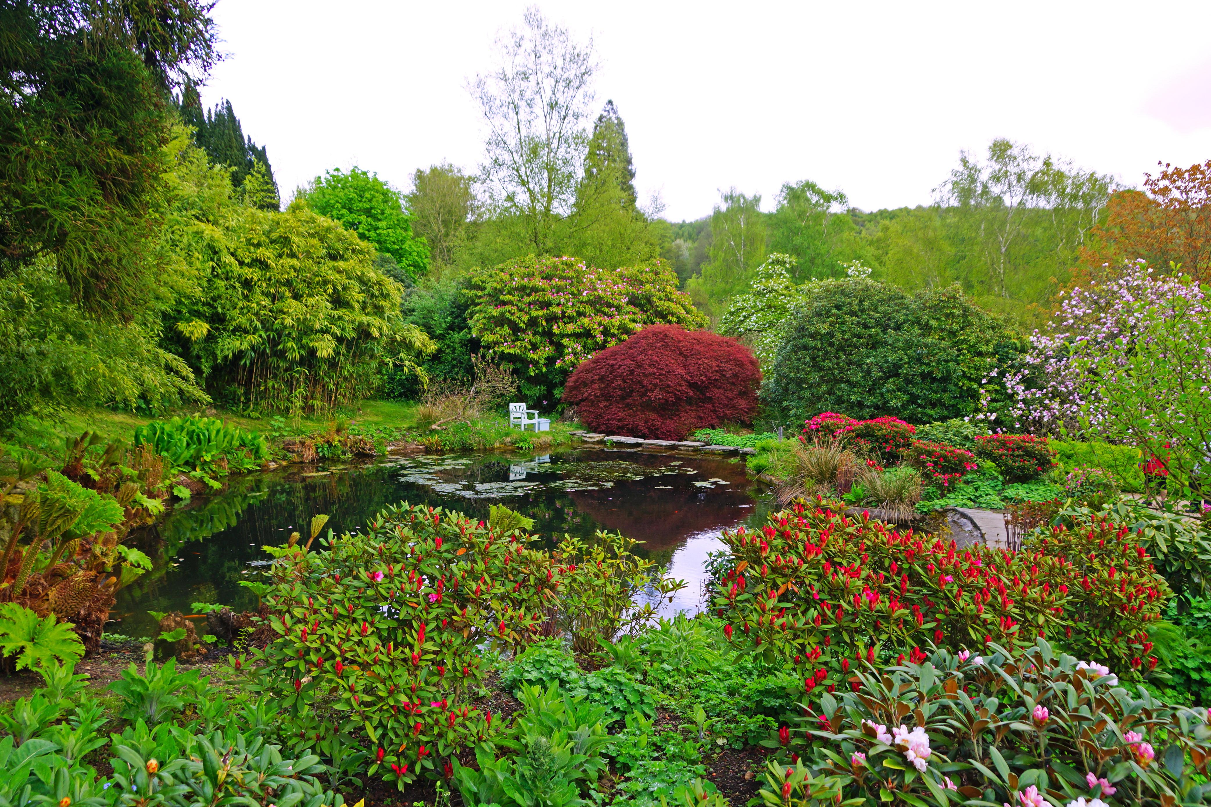 Сады озеры. Парк дармера в Англии. Англия деревня кэмбэлфорд ланшадф садов. Ботанический сад Флауэр-Форест. Английский пейзажный парк Англия.