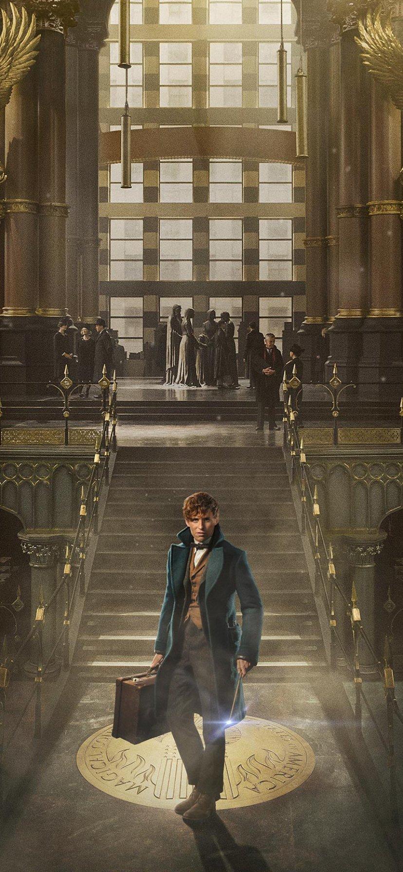 828x1792 Movie Fantastic Beasts And Where To Find Them