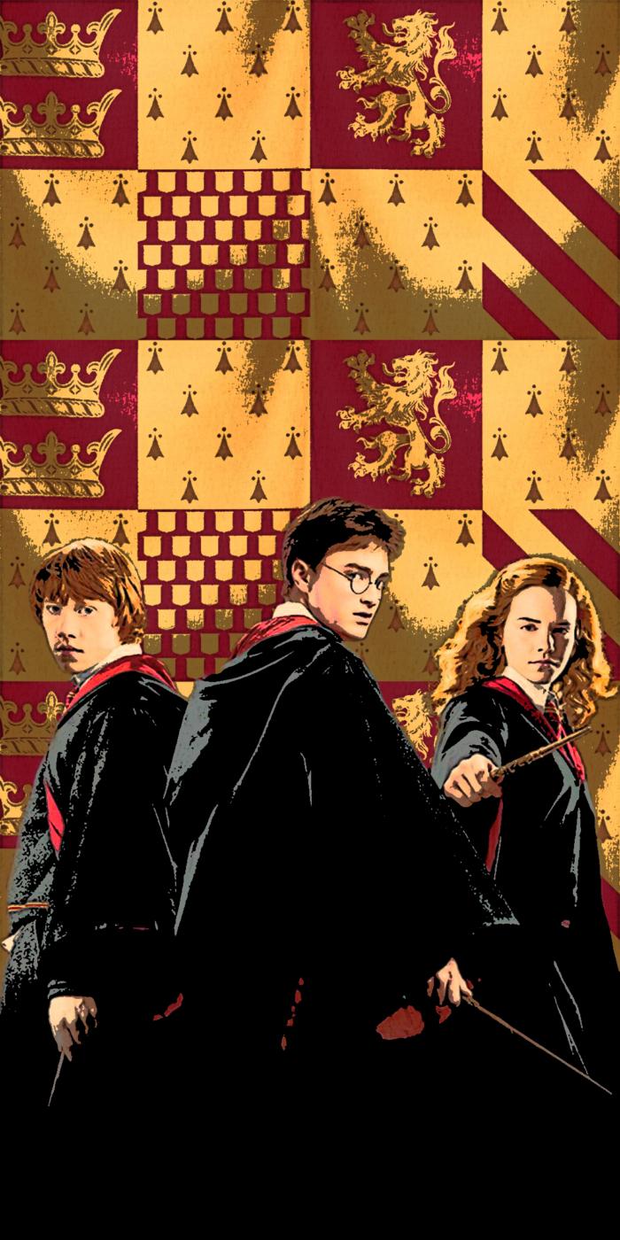 700x1400 Harry Potter Mobile Wallpaper For Your Smartphone