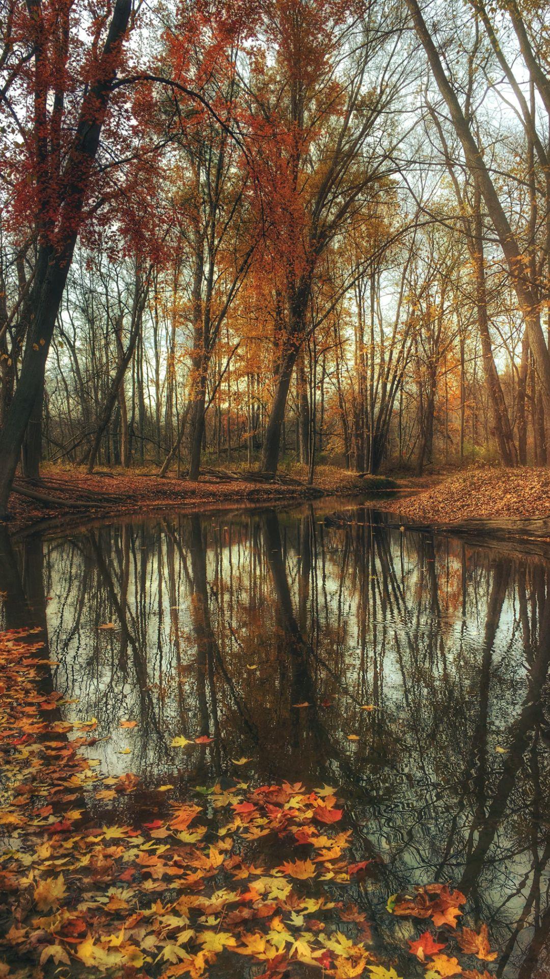 1080x1920 Nature Wallpaper Best Ultra 4k Nature Background Download [ HD ]