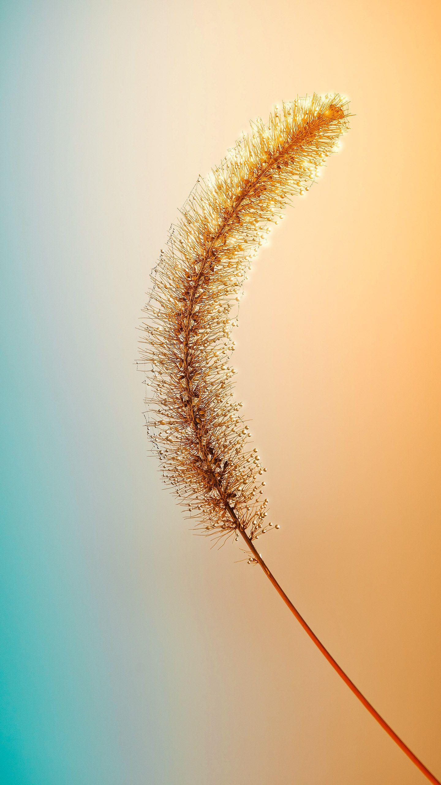 Redmi Note 11 Wallpapers Top Free Redmi Note 11 Backgrounds