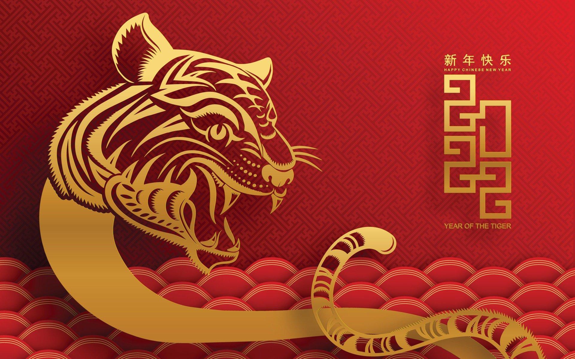 1920x1200 Year of the Tiger HD Wallpaper